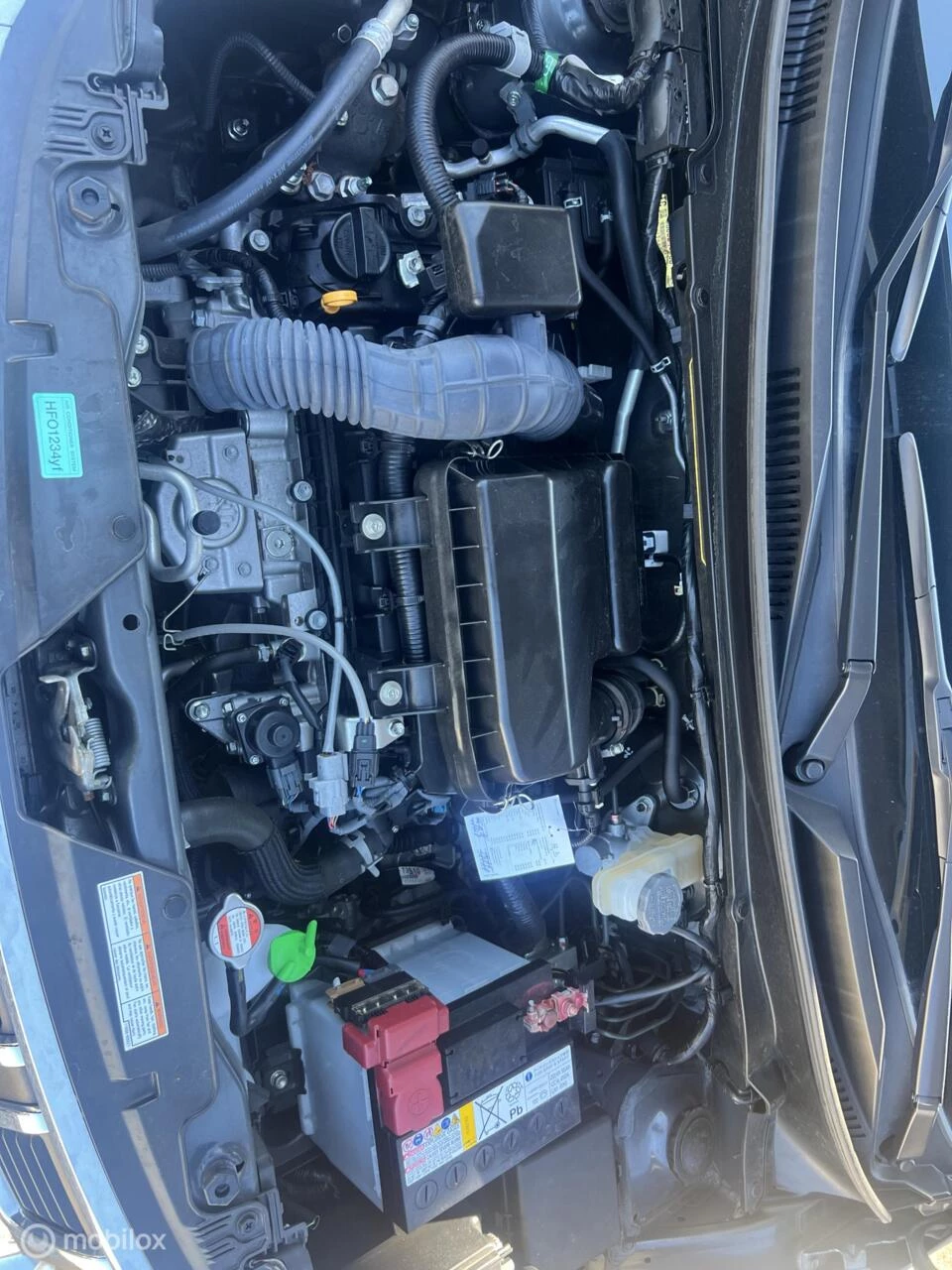 Hoofdafbeelding Suzuki Ignis