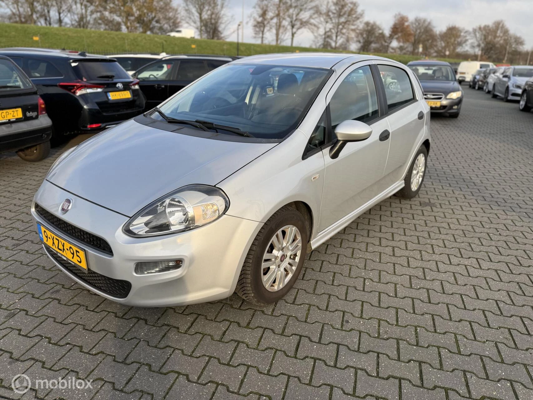 Hoofdafbeelding Fiat Punto