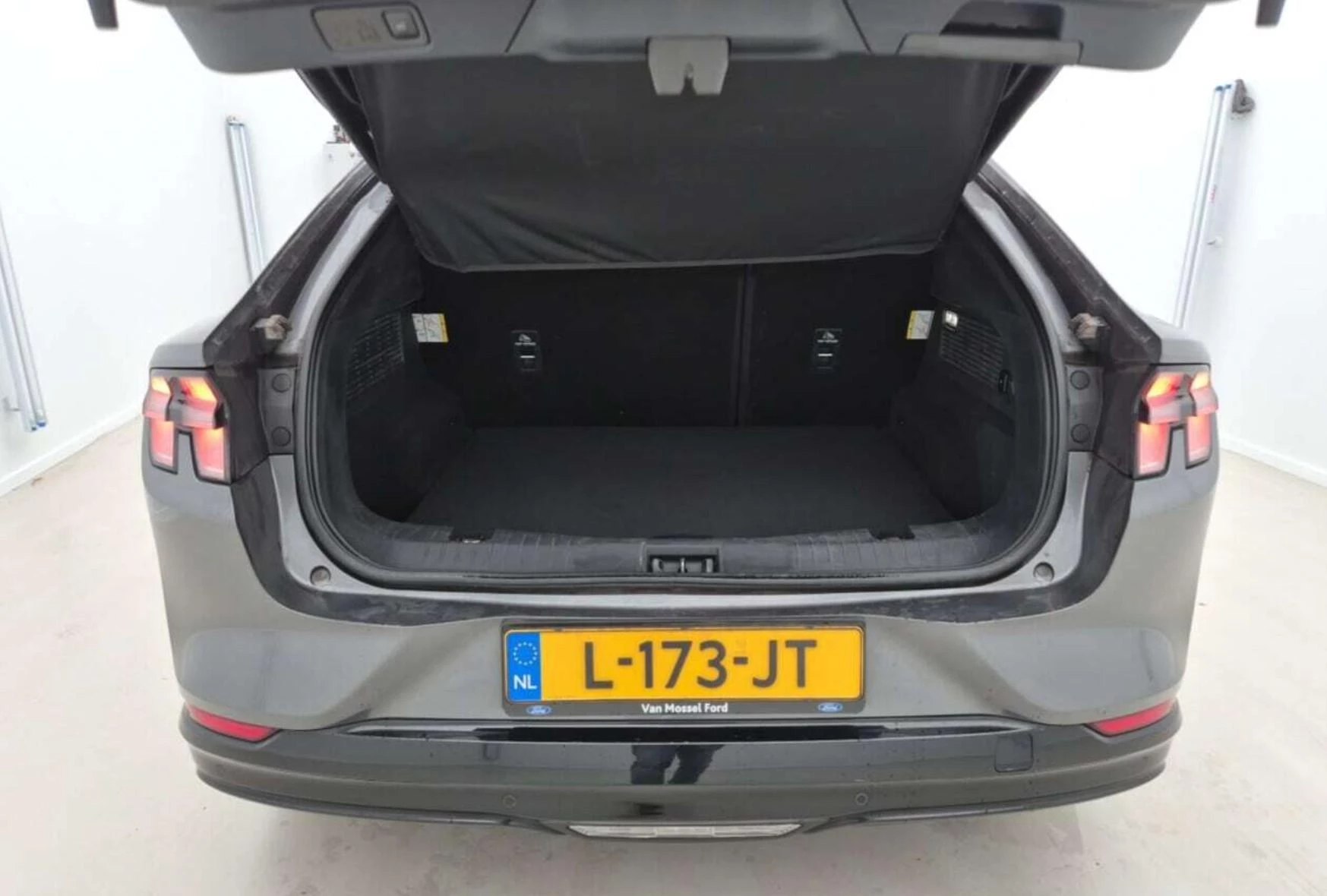 Hoofdafbeelding Ford Mustang Mach-E