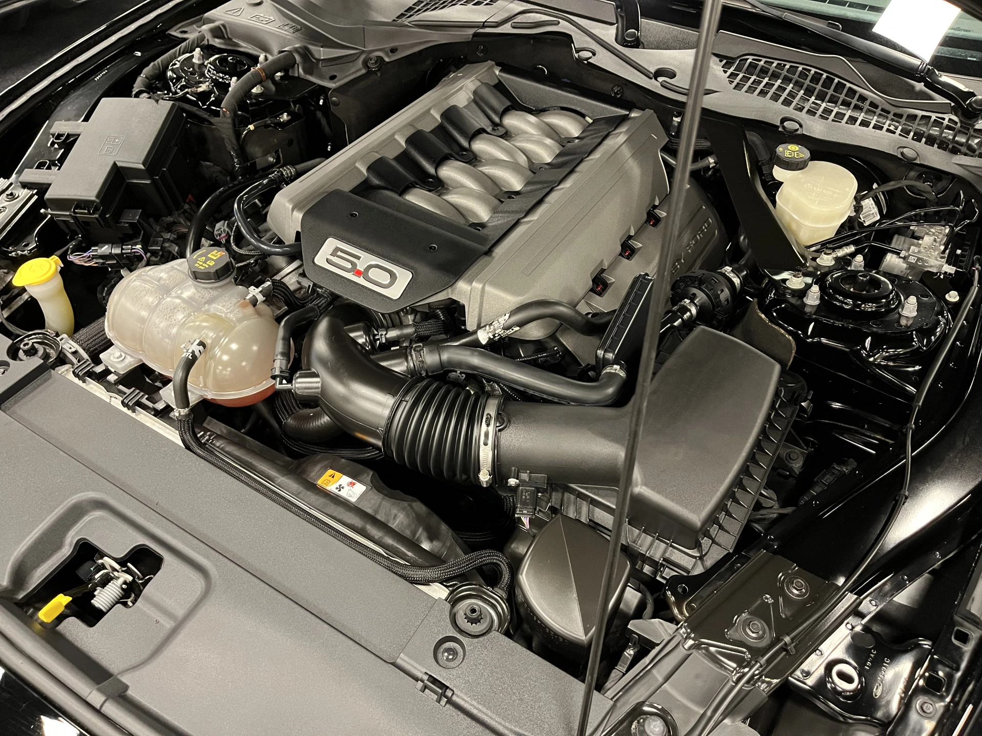 Hoofdafbeelding Ford Mustang