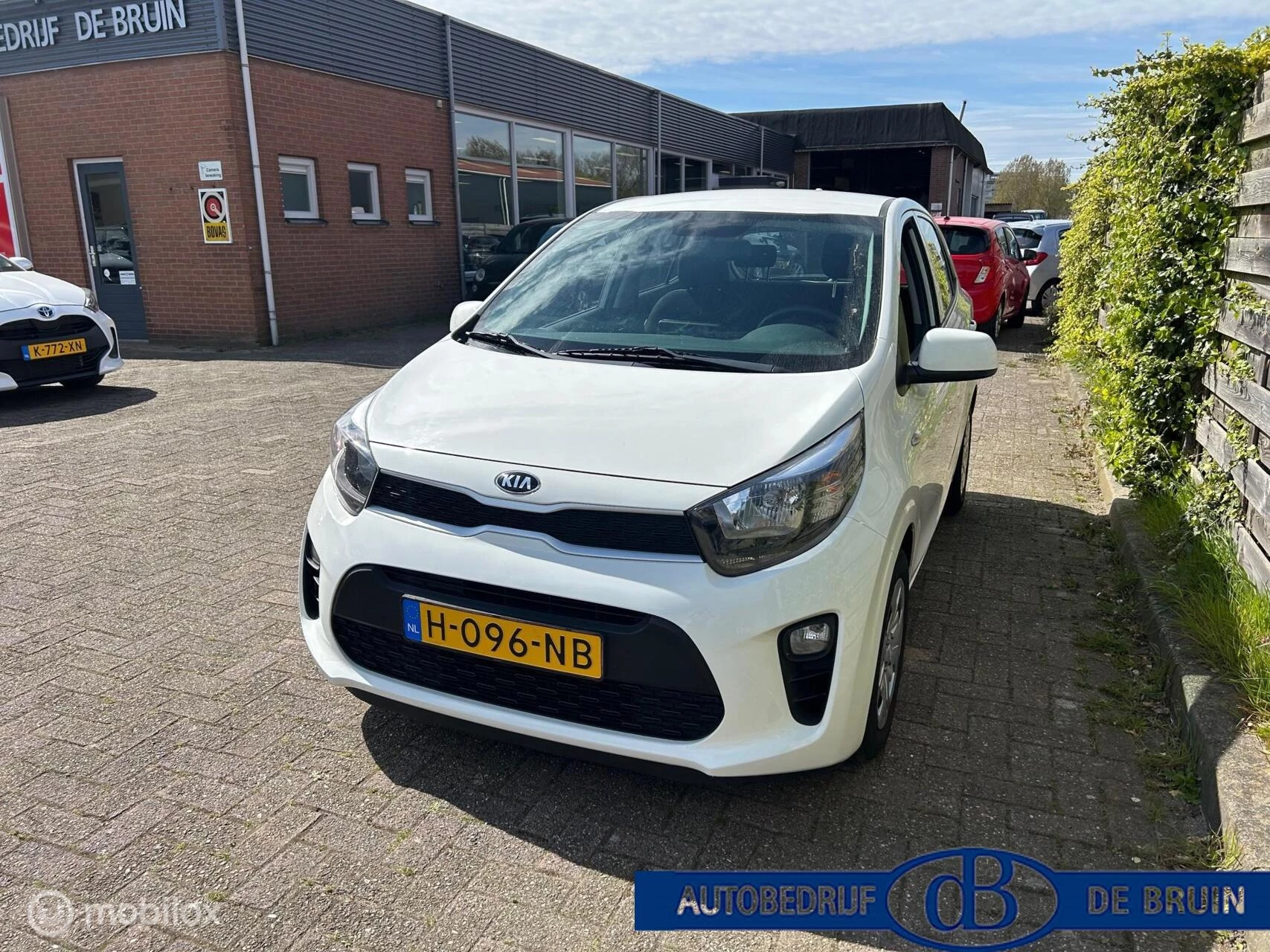 Hoofdafbeelding Kia Picanto