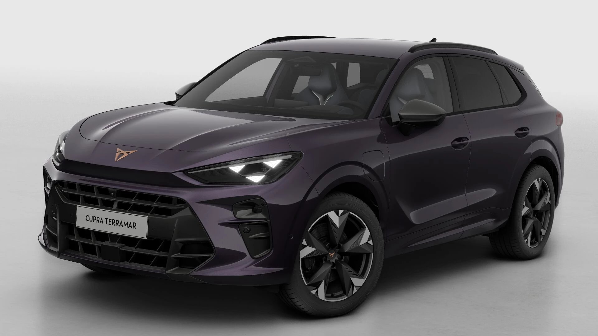 Hoofdafbeelding CUPRA Terramar