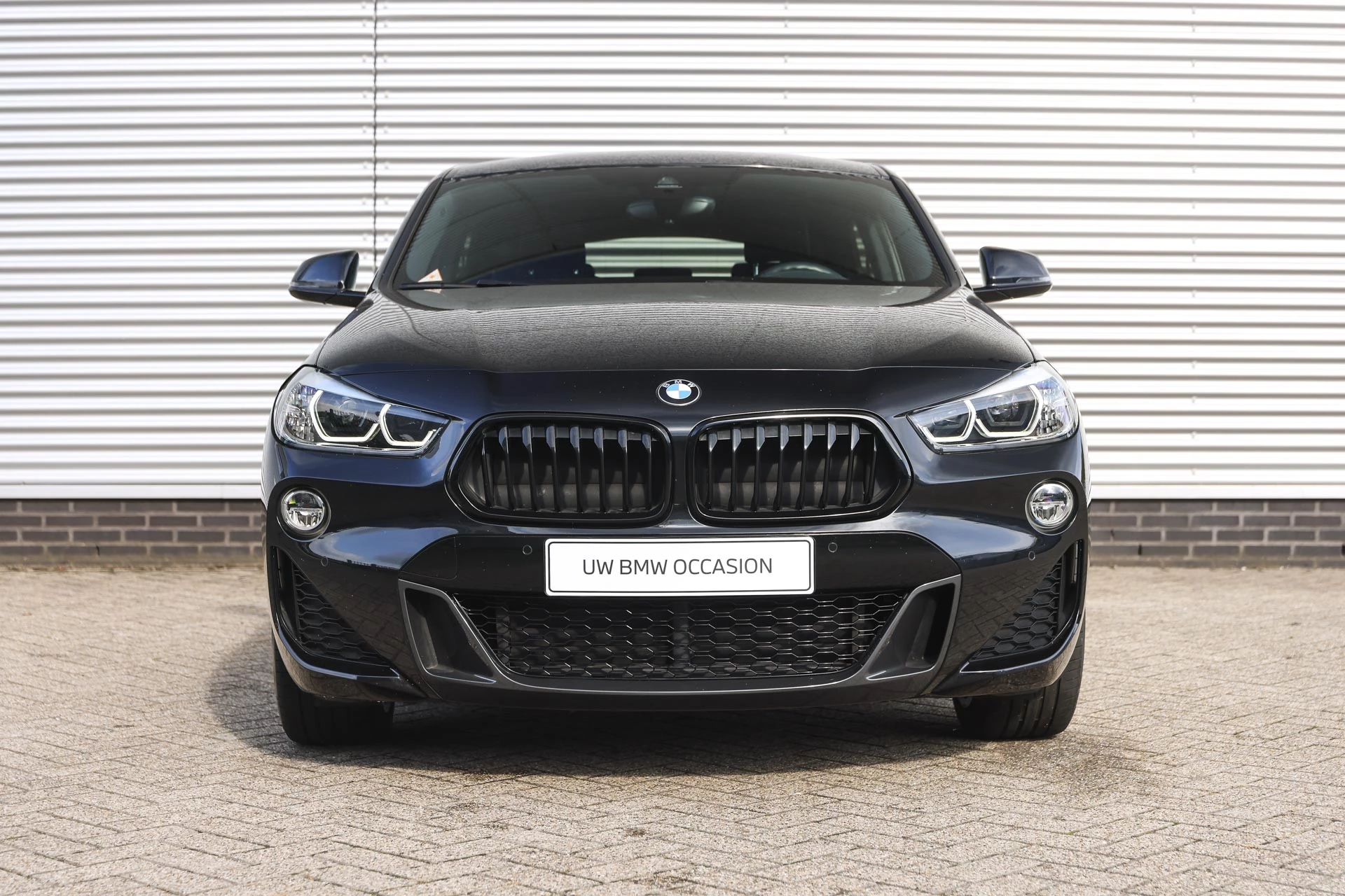 Hoofdafbeelding BMW X2