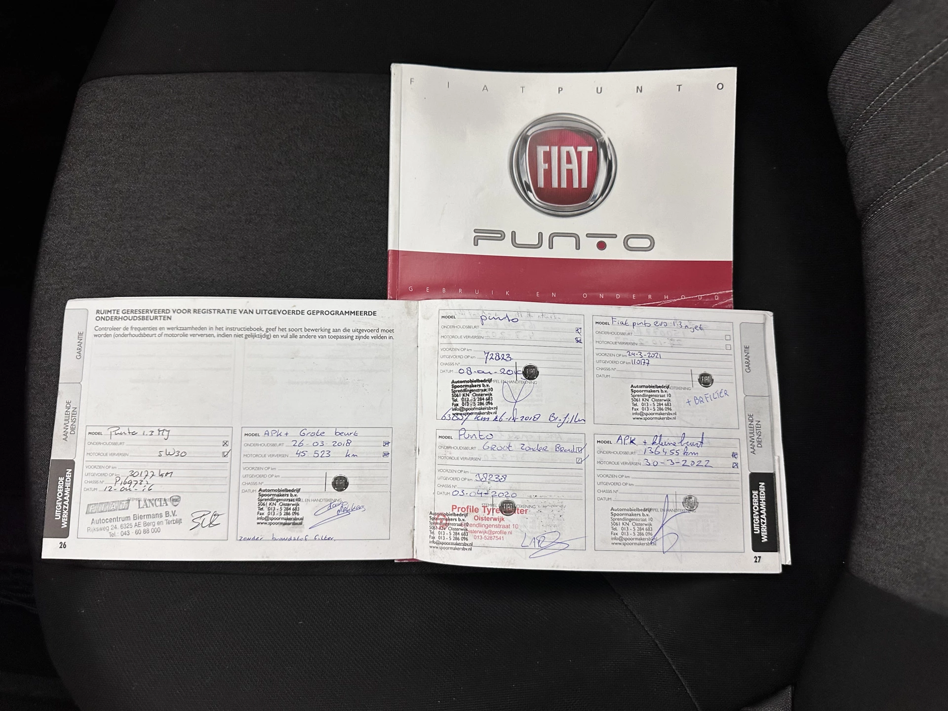 Hoofdafbeelding Fiat Punto