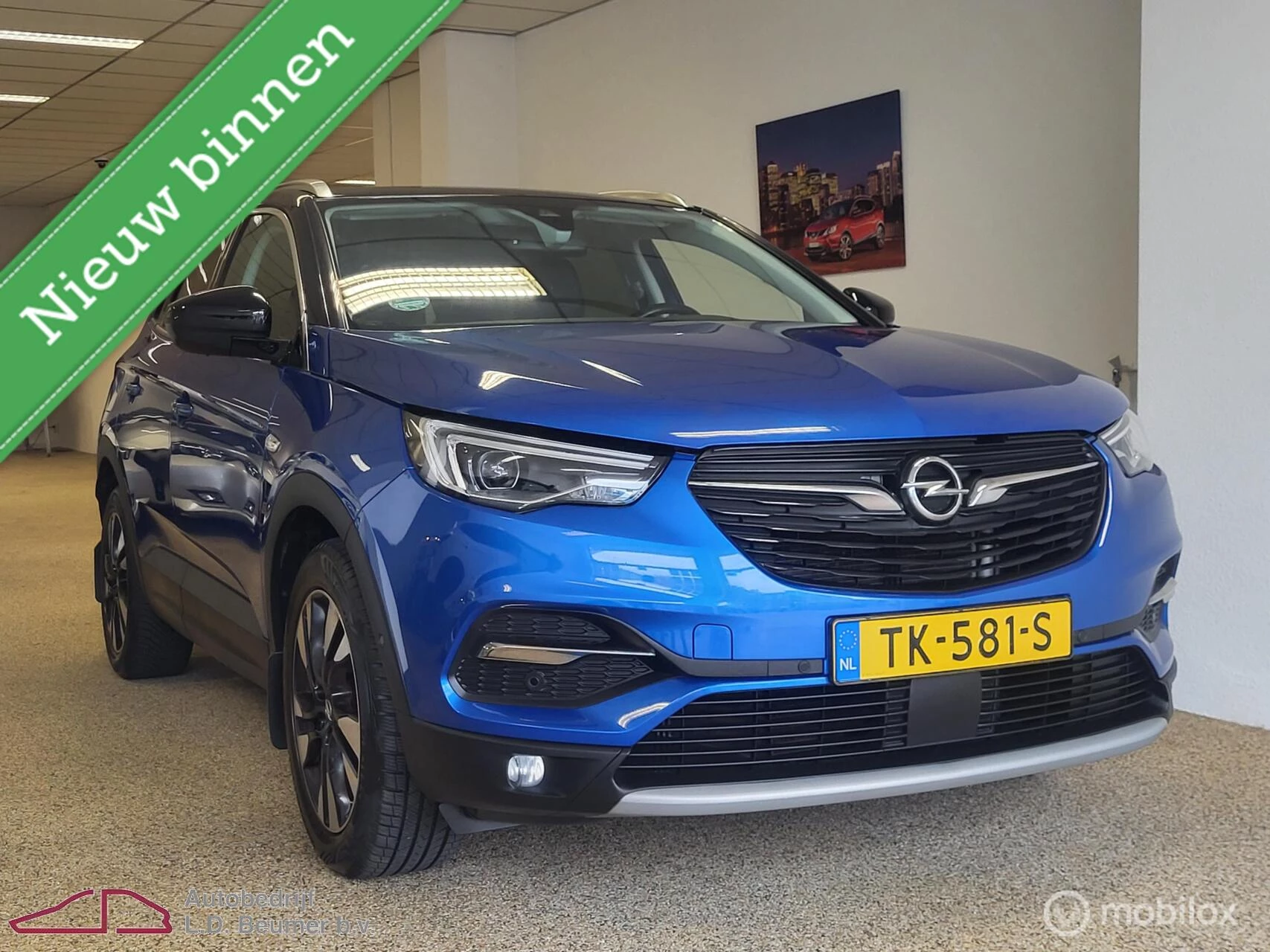 Hoofdafbeelding Opel Grandland X