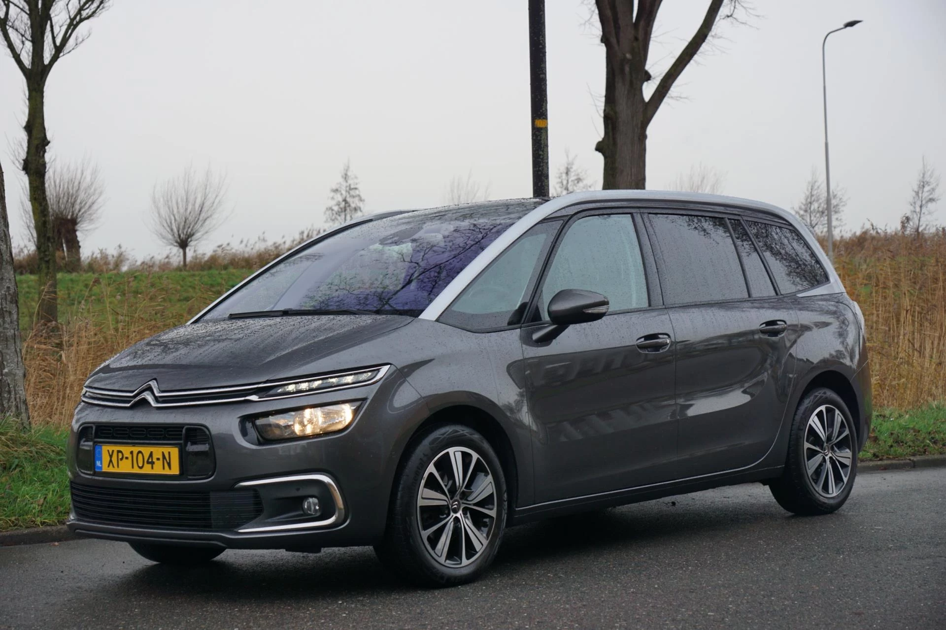 Hoofdafbeelding Citroën Grand C4 Picasso