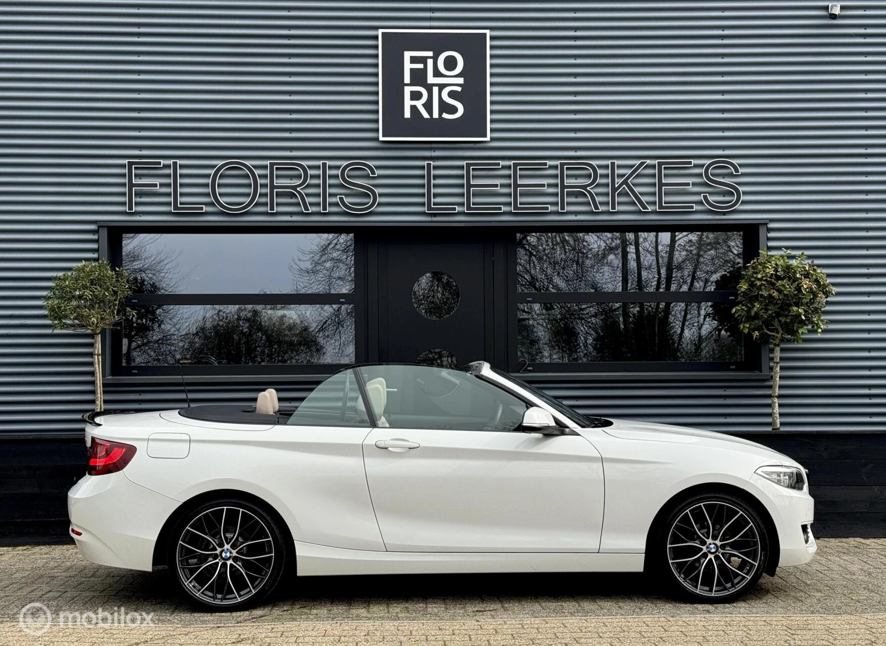 Hoofdafbeelding BMW 2 Serie