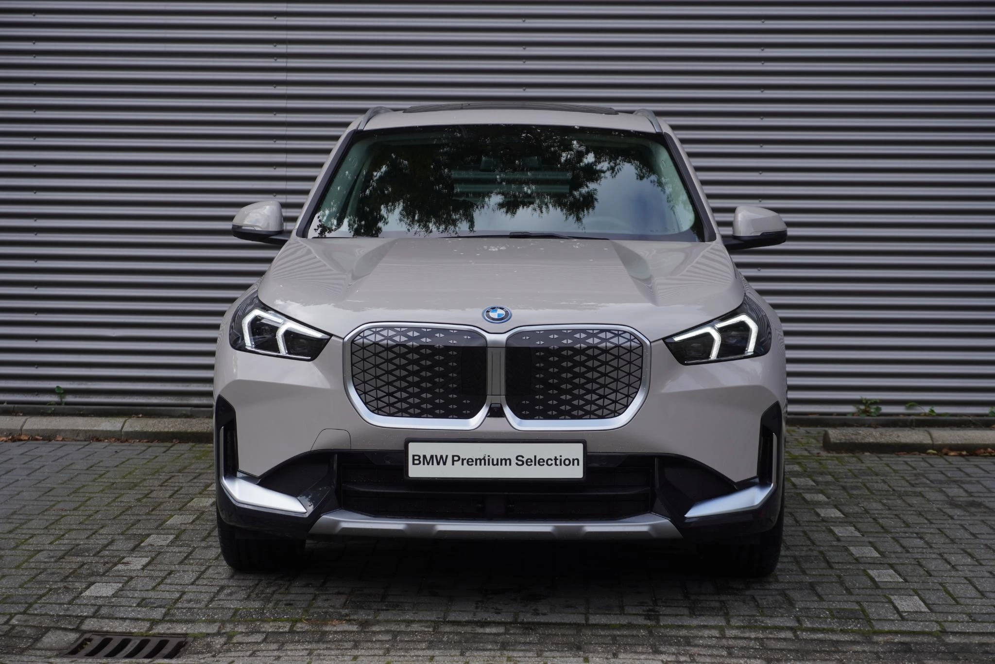 Hoofdafbeelding BMW iX1