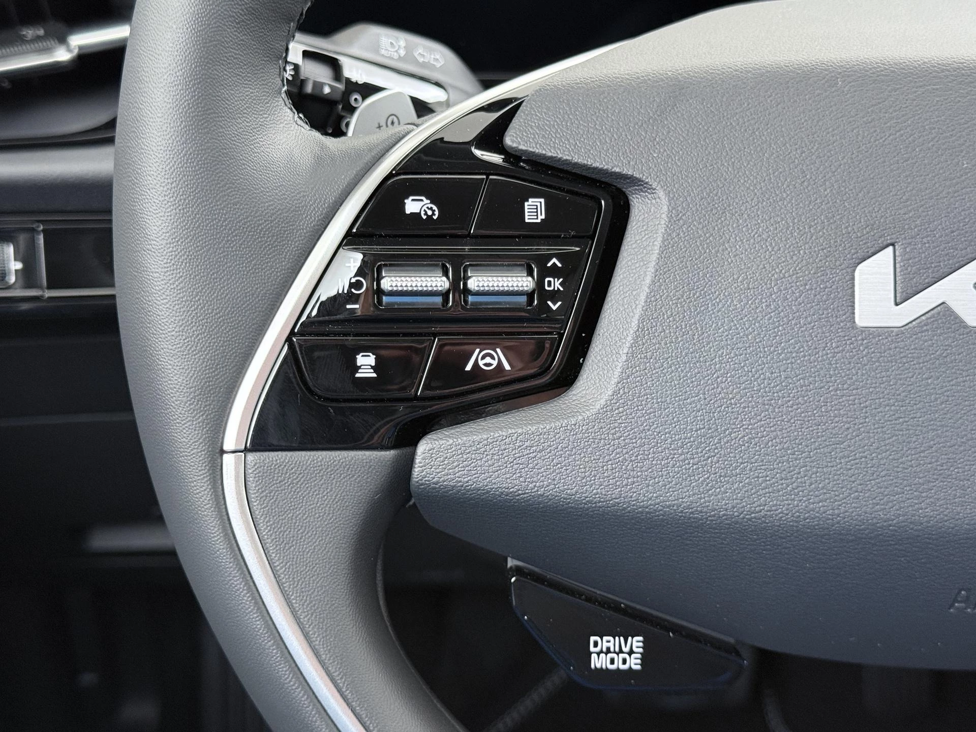 Hoofdafbeelding Kia Niro EV