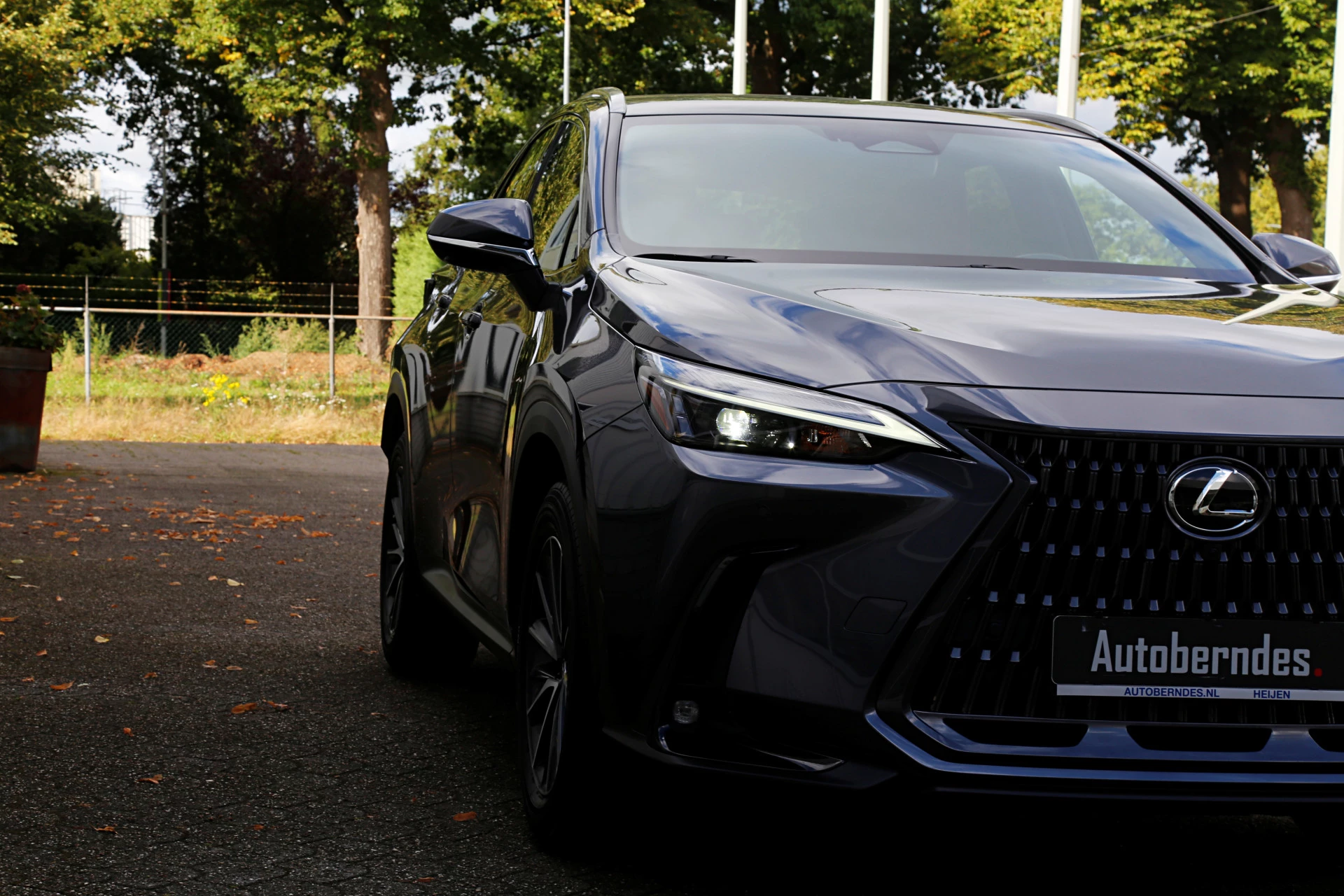 Hoofdafbeelding Lexus NX