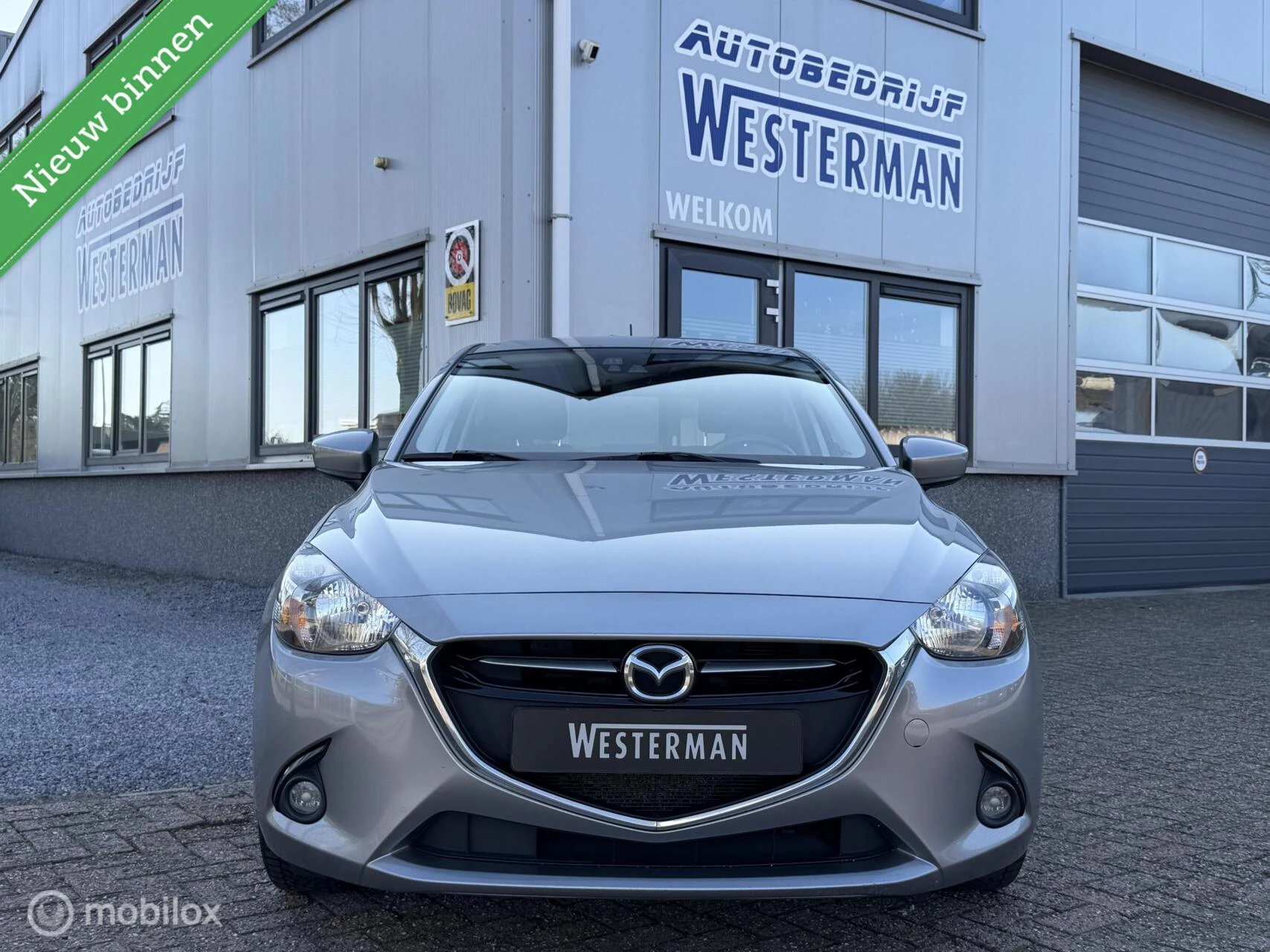 Hoofdafbeelding Mazda 2