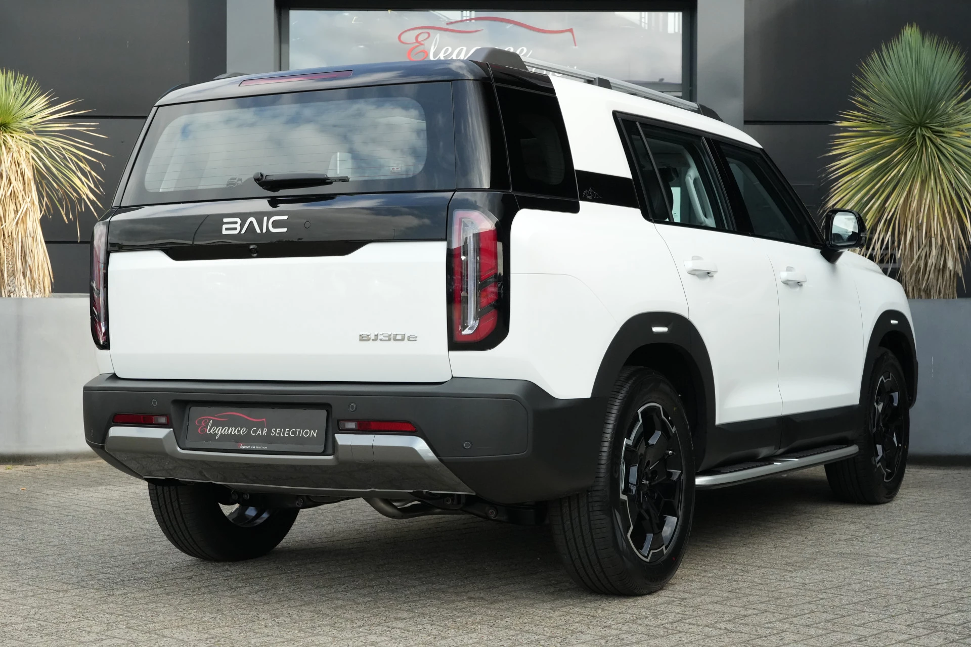 Hoofdafbeelding BAIC BJ30e