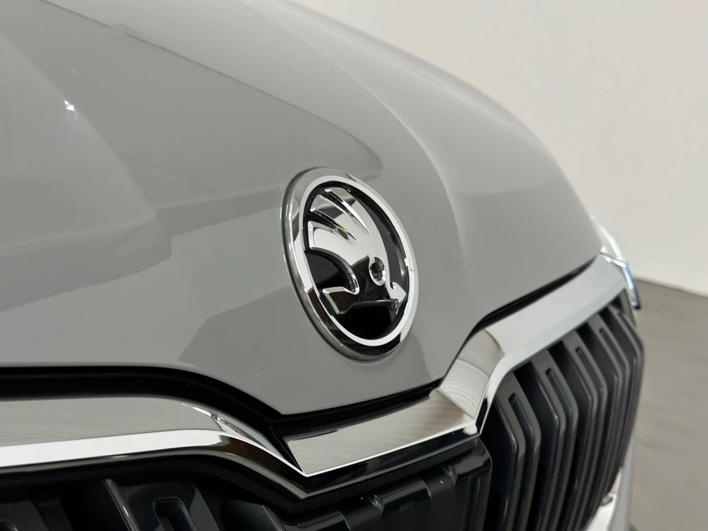 Hoofdafbeelding Škoda Kamiq