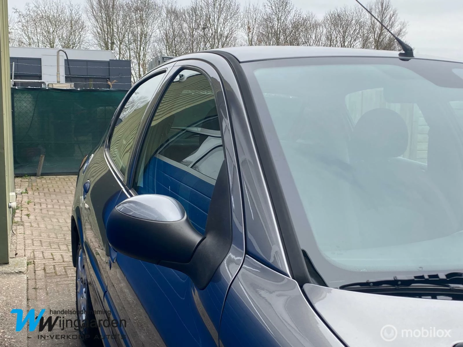 Hoofdafbeelding Peugeot 206