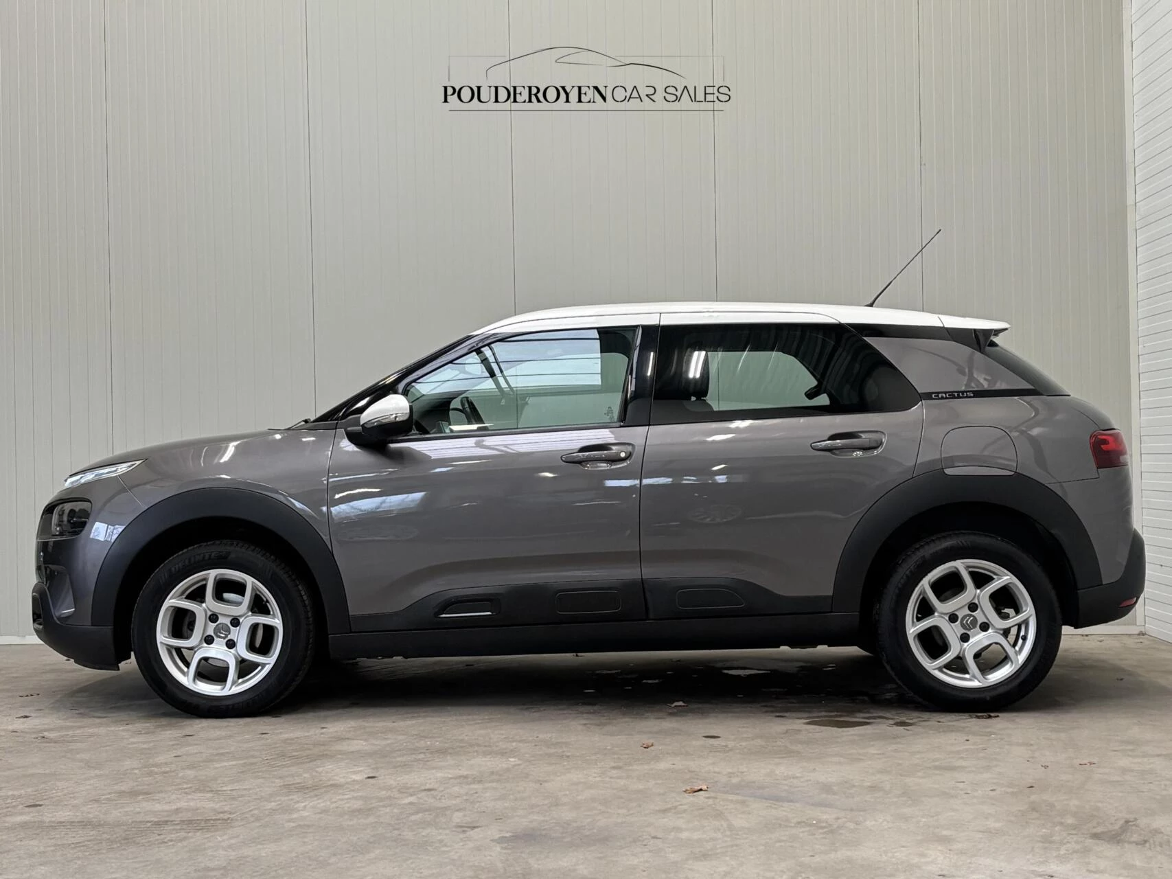 Hoofdafbeelding Citroën C4 Cactus