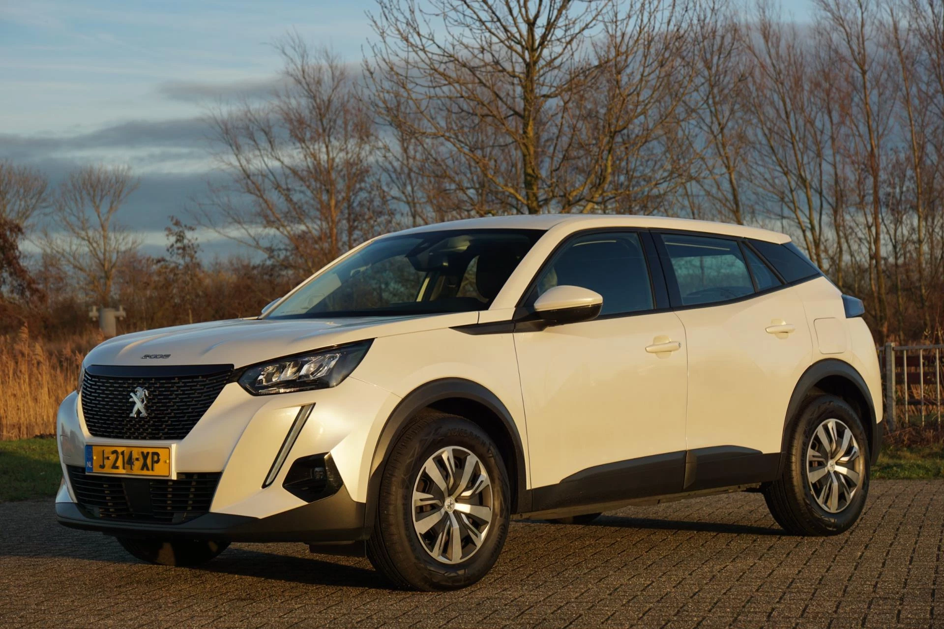 Hoofdafbeelding Peugeot 2008