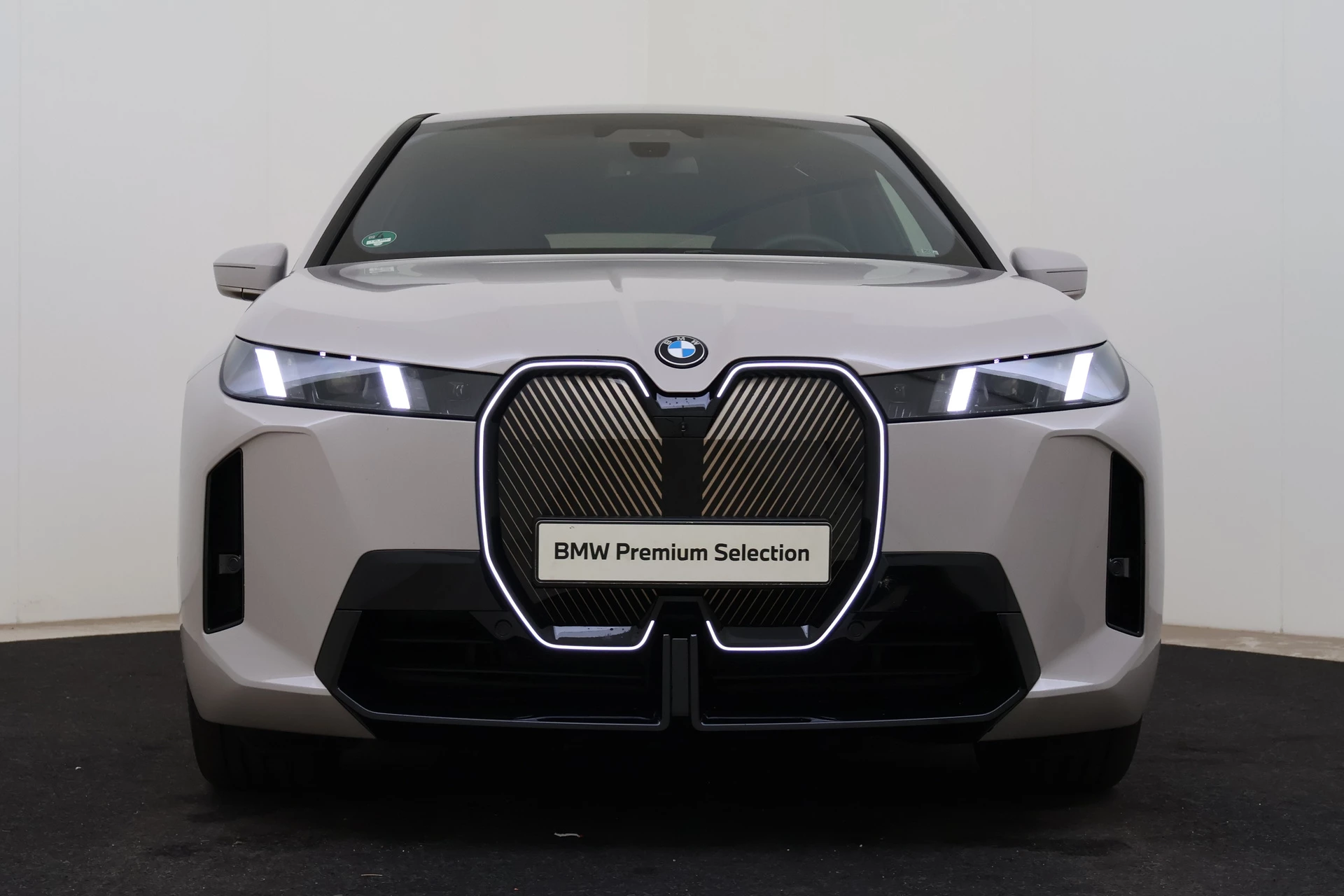 Hoofdafbeelding BMW iX