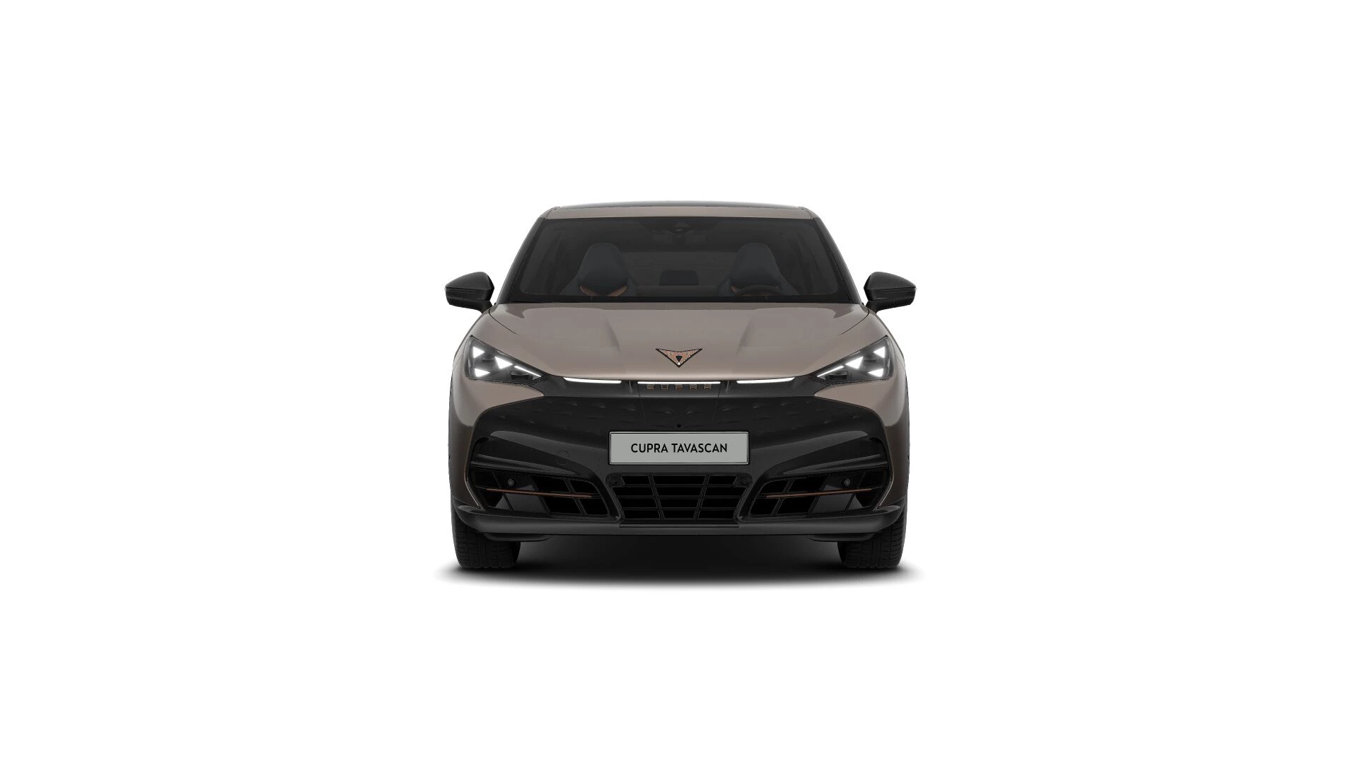 Hoofdafbeelding CUPRA Tavascan