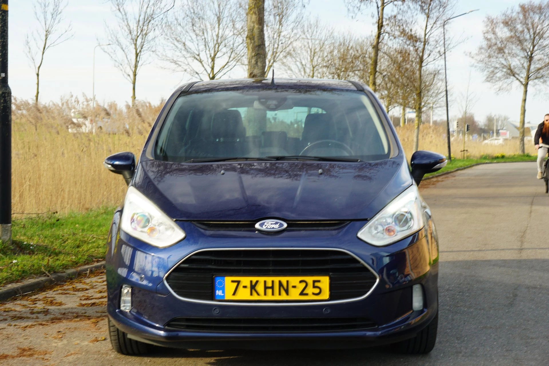 Hoofdafbeelding Ford B-MAX
