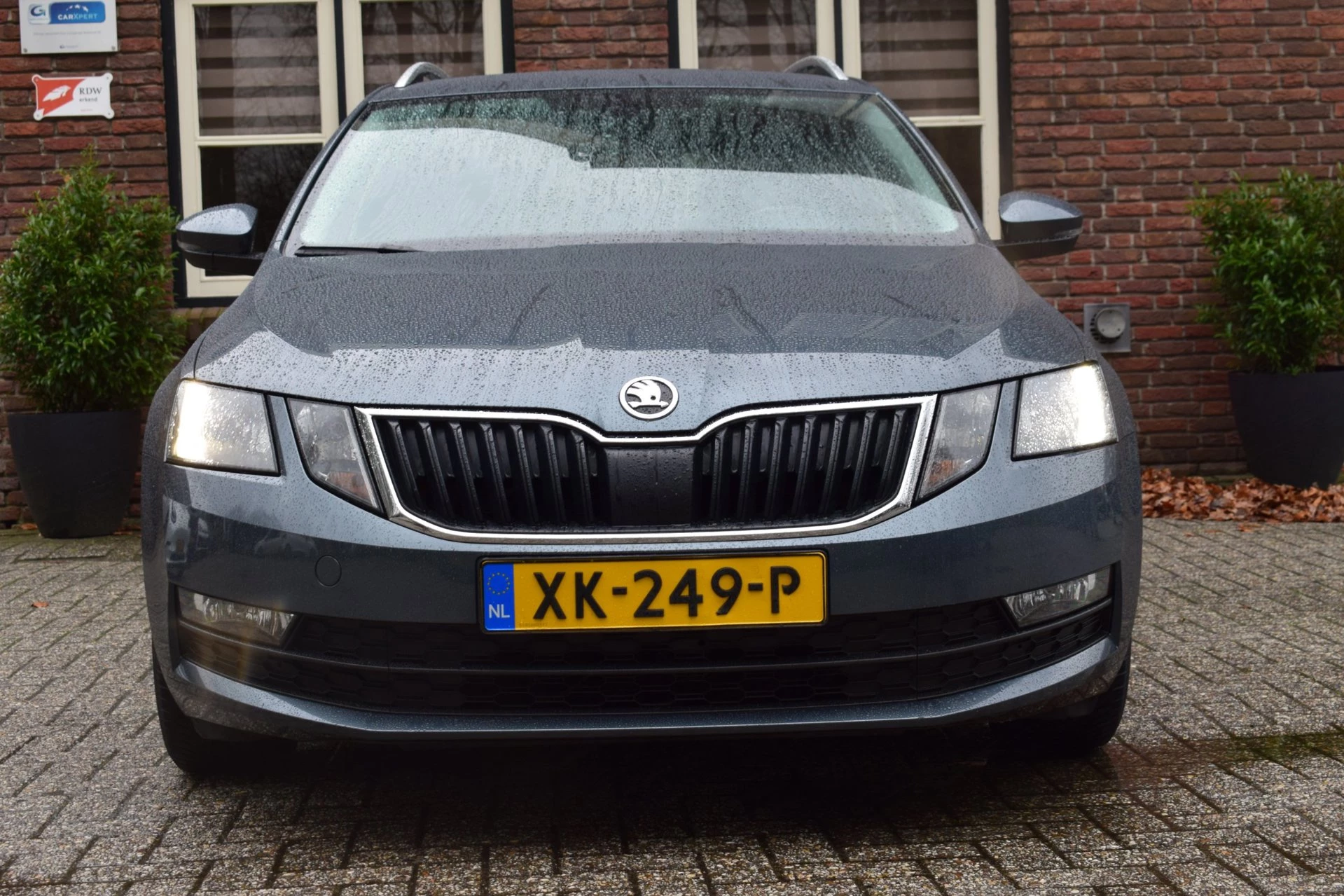 Hoofdafbeelding Škoda Octavia