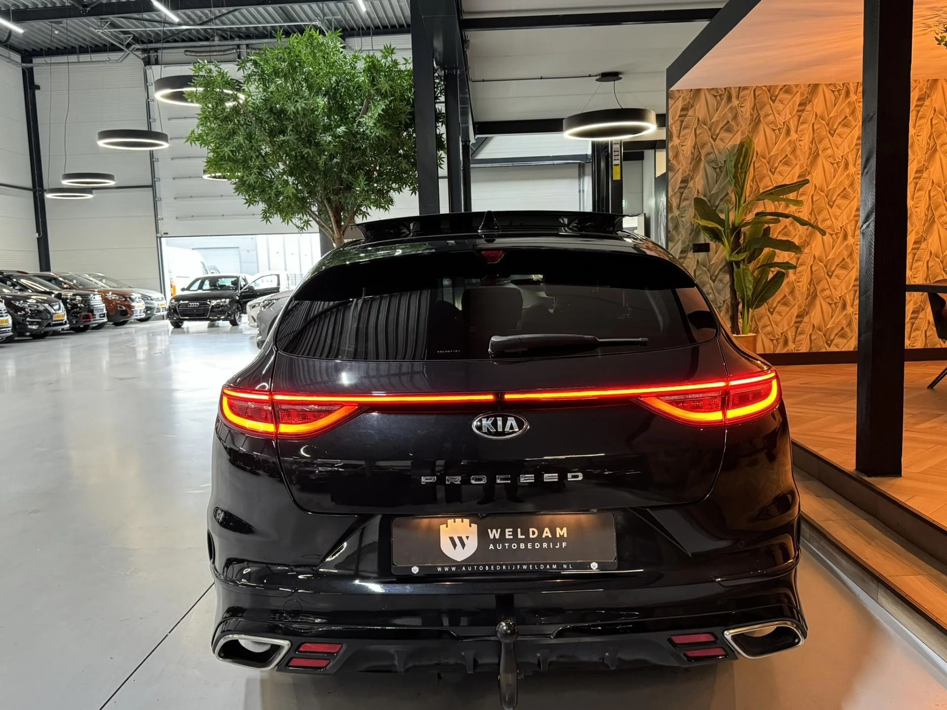 Hoofdafbeelding Kia ProCeed