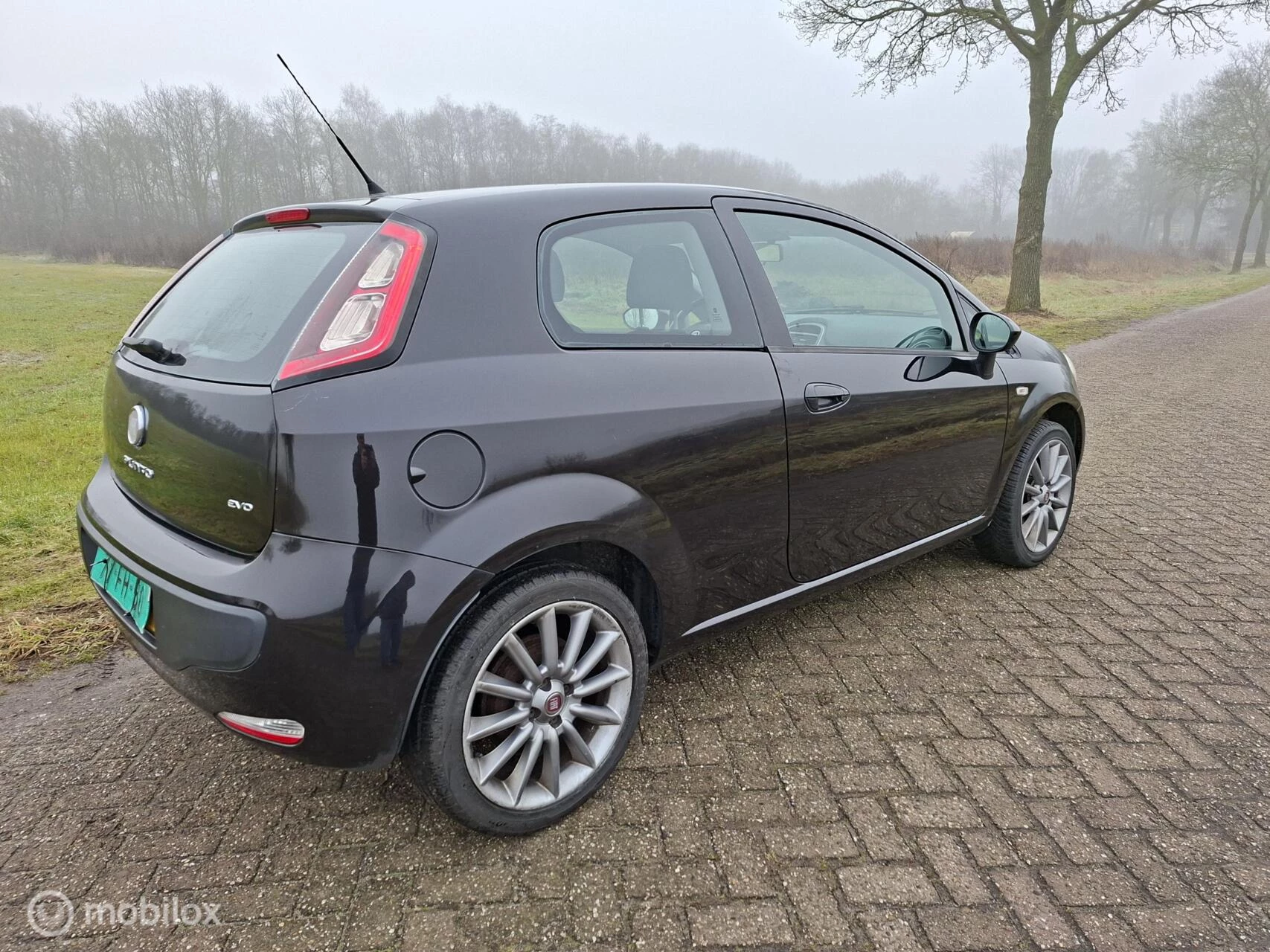 Hoofdafbeelding Fiat Punto
