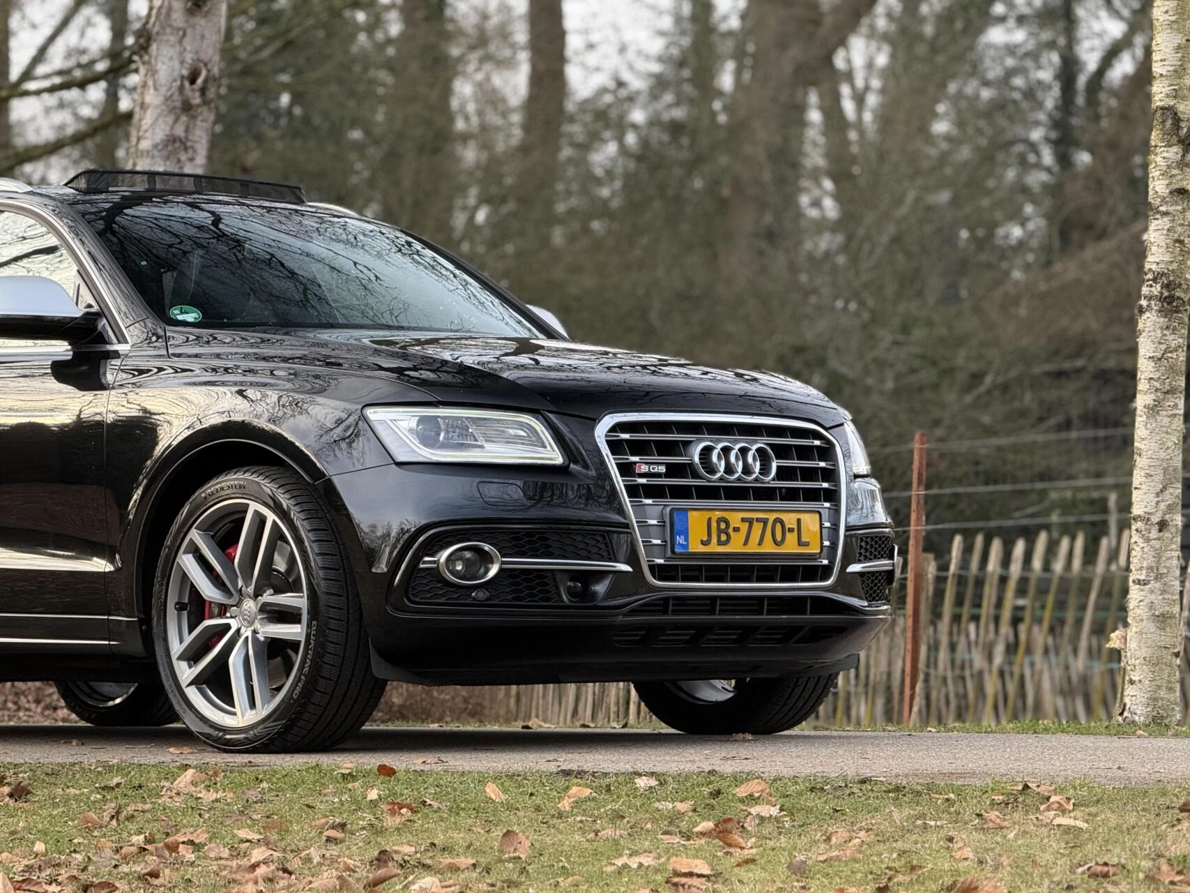 Hoofdafbeelding Audi SQ5