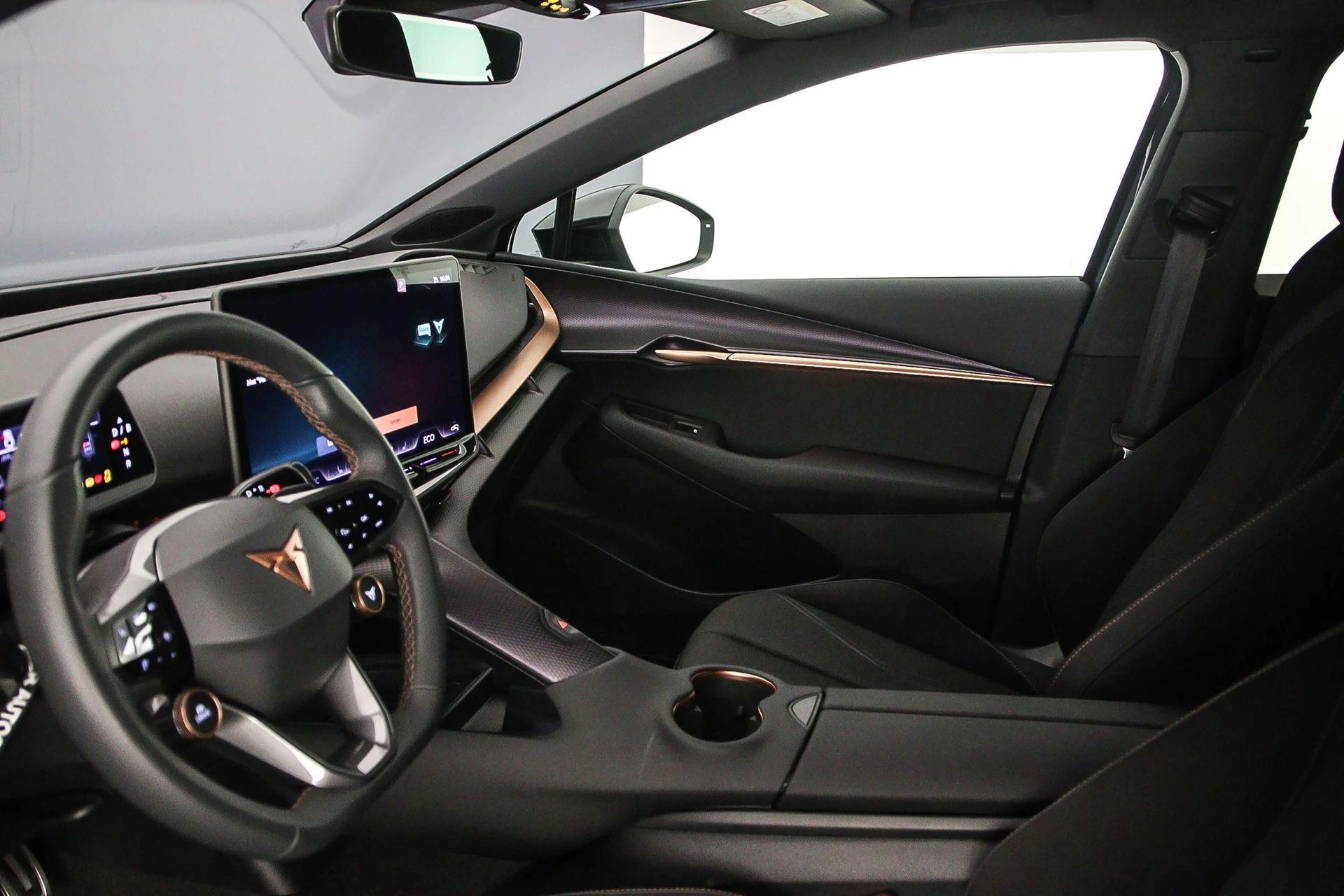 Hoofdafbeelding CUPRA Tavascan