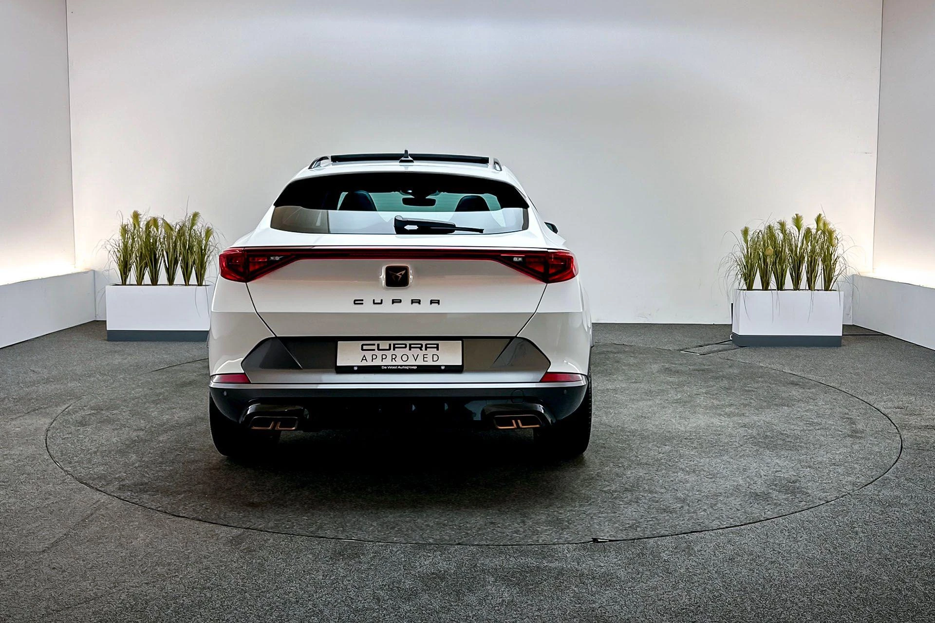 Hoofdafbeelding CUPRA Formentor