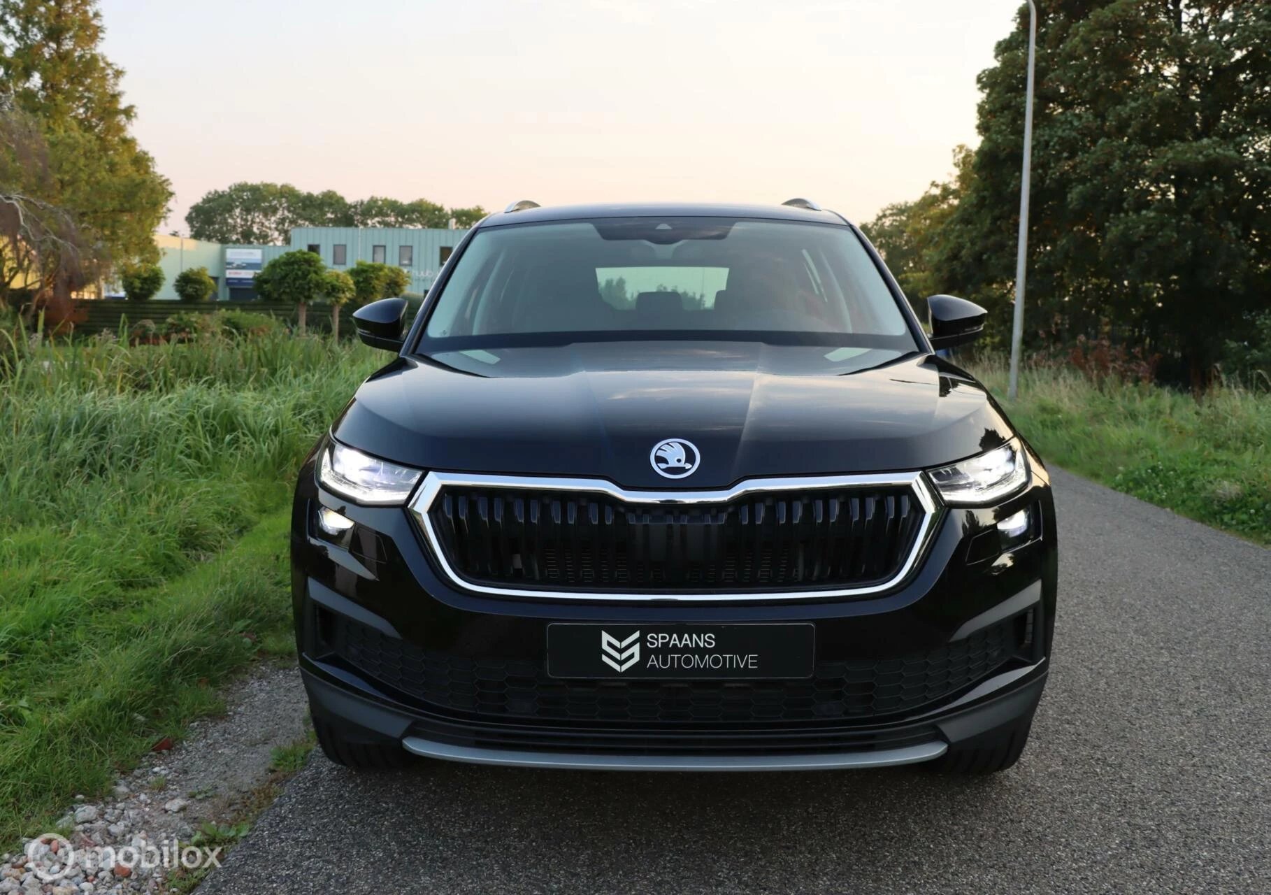 Hoofdafbeelding Škoda Kodiaq