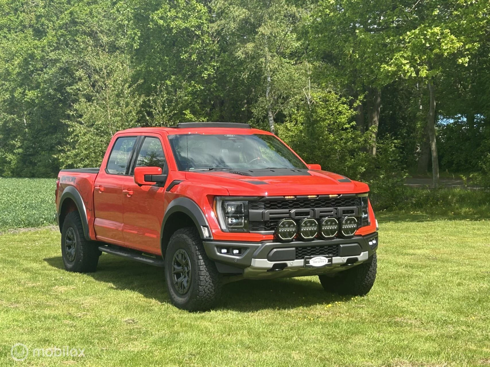 Hoofdafbeelding Ford F-150