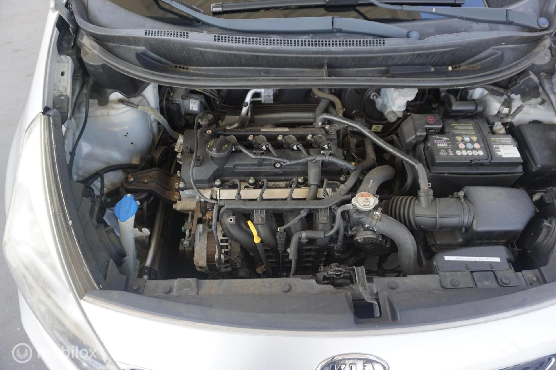 Hoofdafbeelding Kia Rio