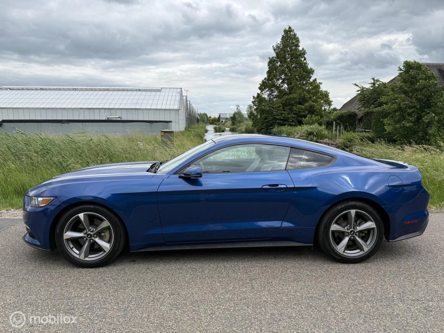 Hoofdafbeelding Ford Mustang