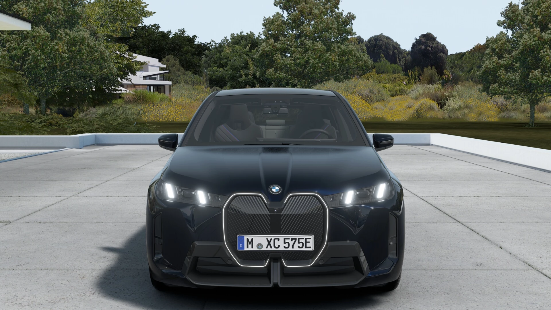 Hoofdafbeelding BMW iX
