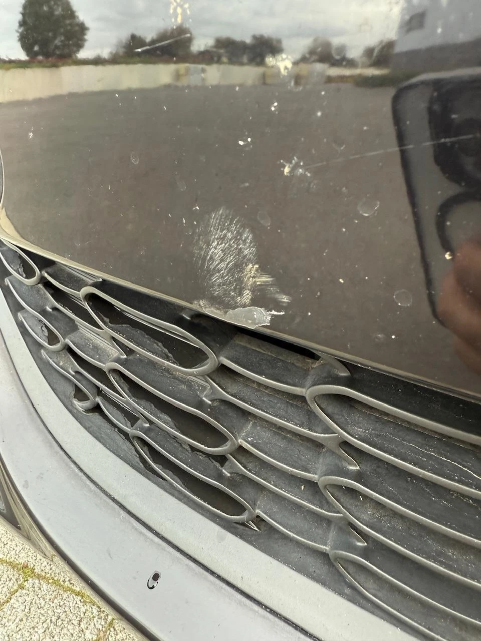 Hoofdafbeelding Kia Carens