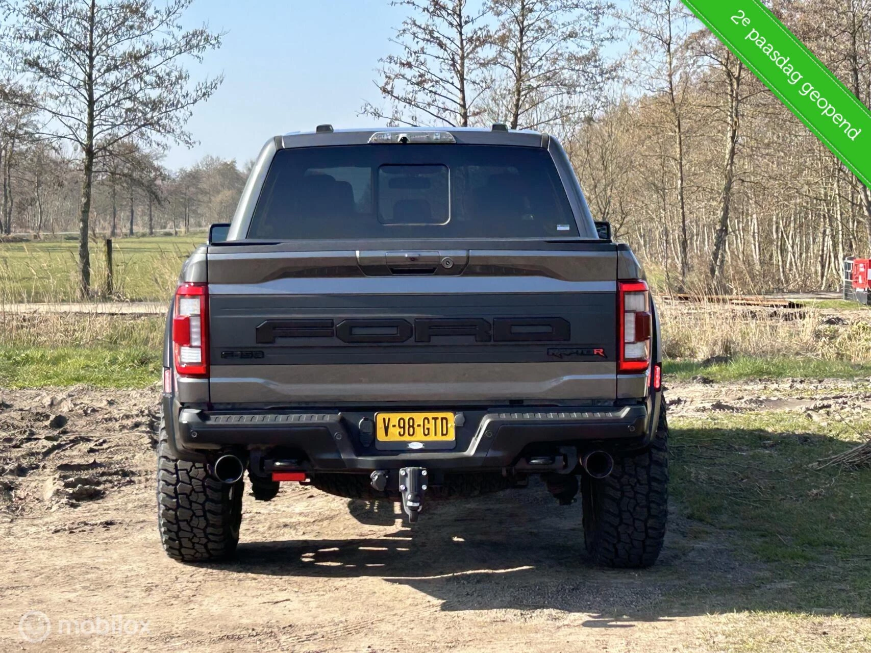 Hoofdafbeelding Ford F-150