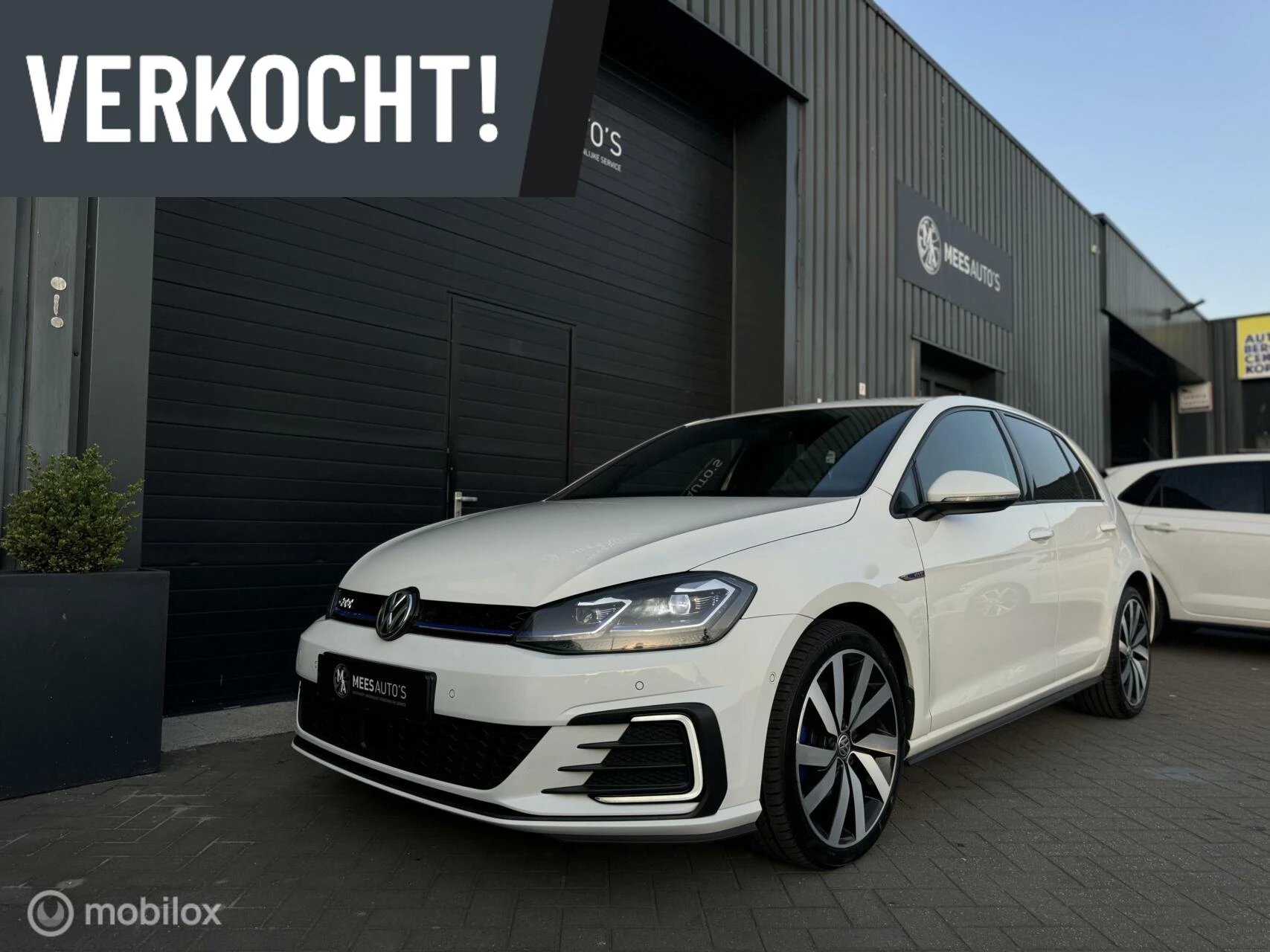 Hoofdafbeelding Volkswagen Golf