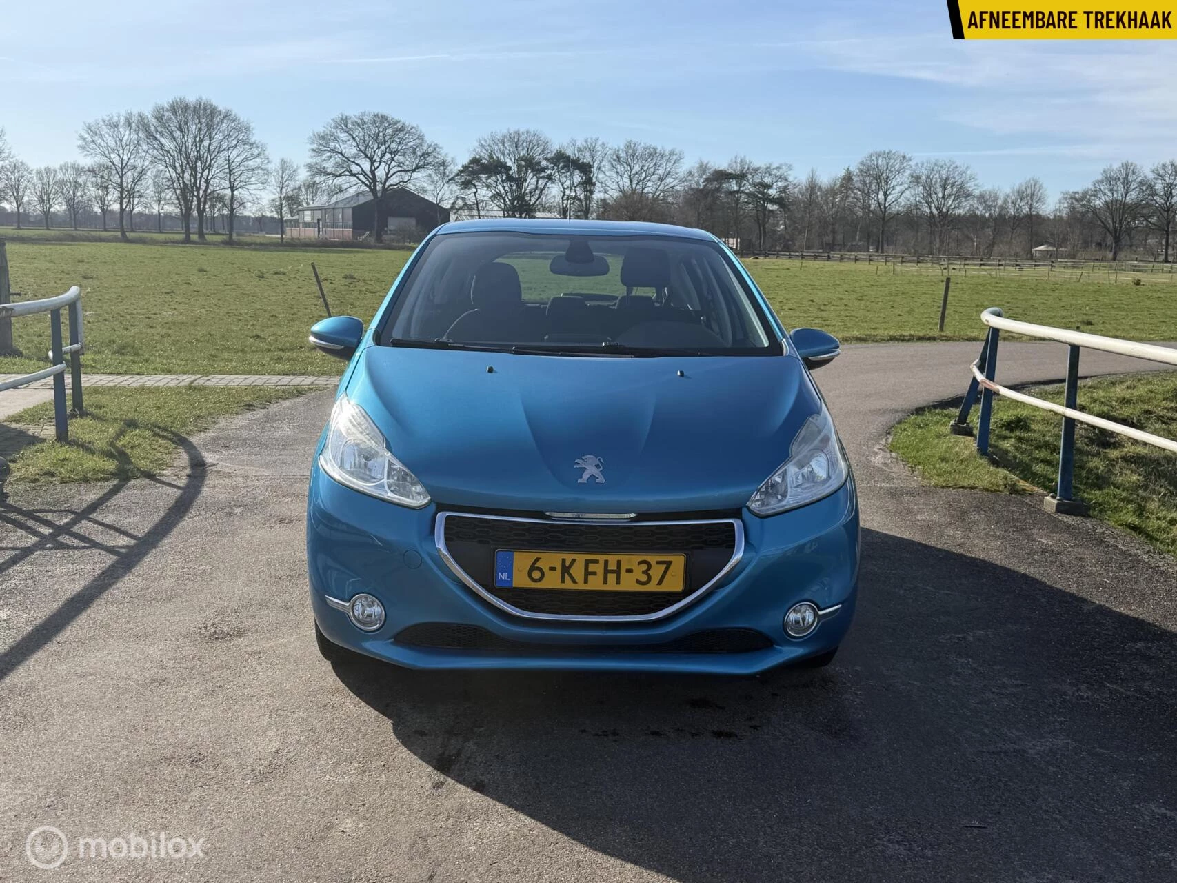 Hoofdafbeelding Peugeot 208
