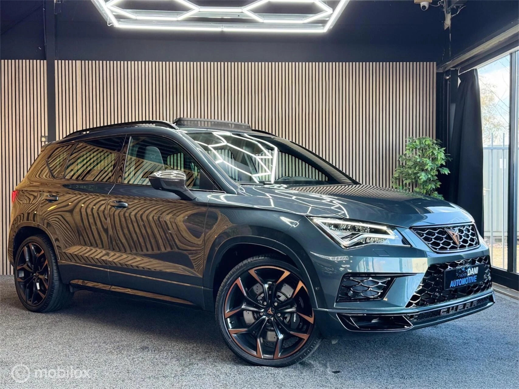 Hoofdafbeelding CUPRA Ateca