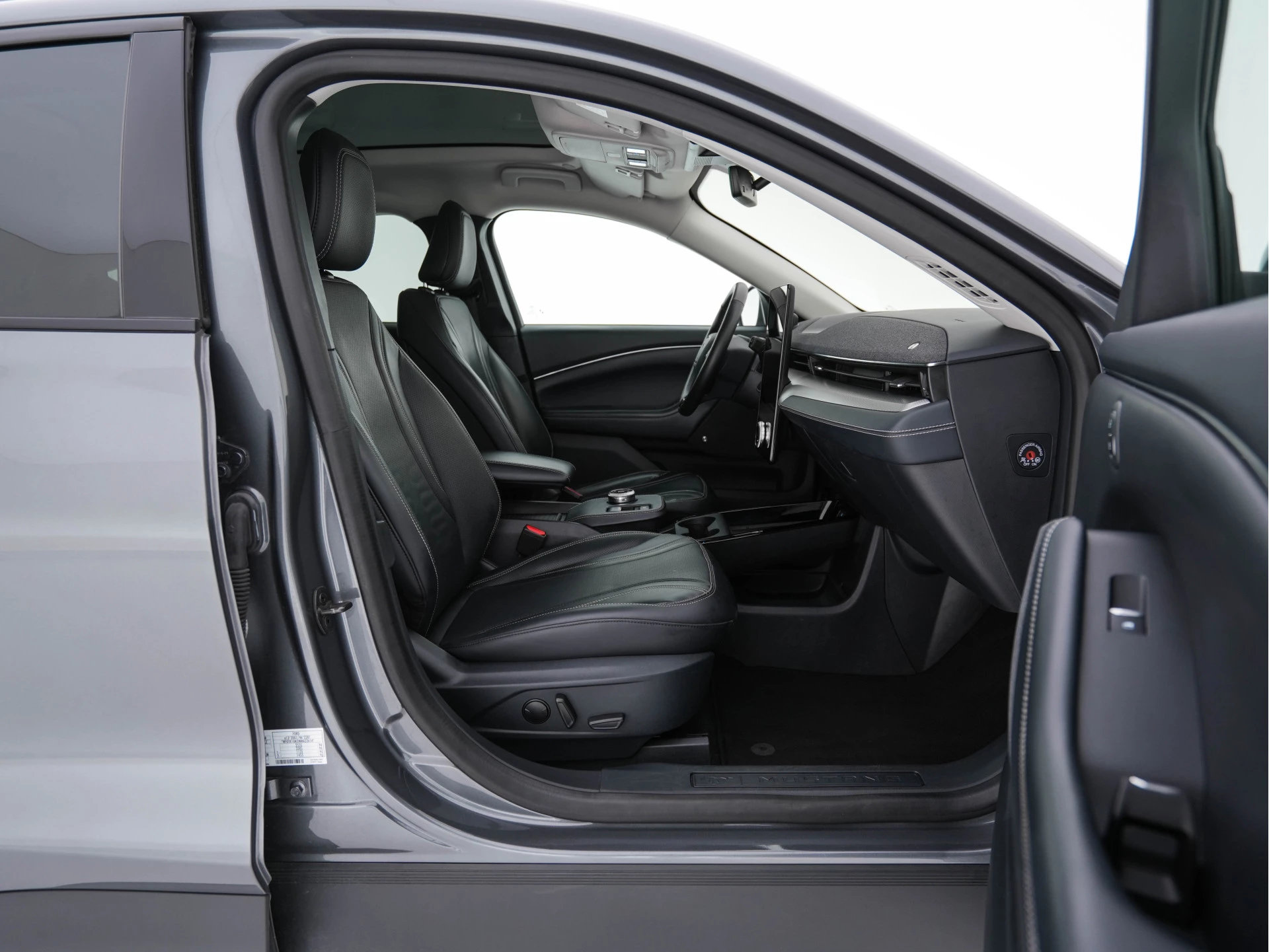 Hoofdafbeelding Ford Mustang Mach-E