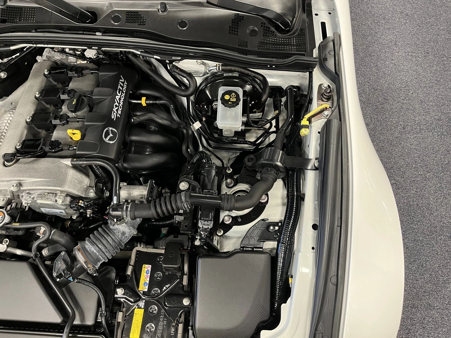 Hoofdafbeelding Mazda MX-5