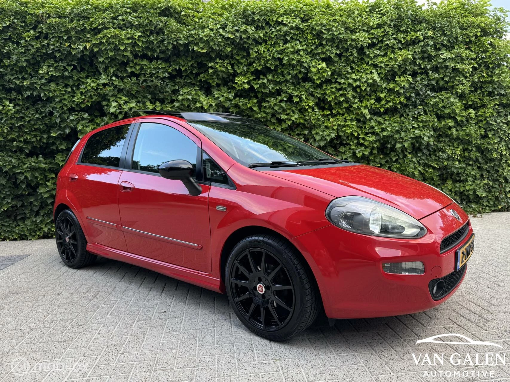 Hoofdafbeelding Fiat Punto