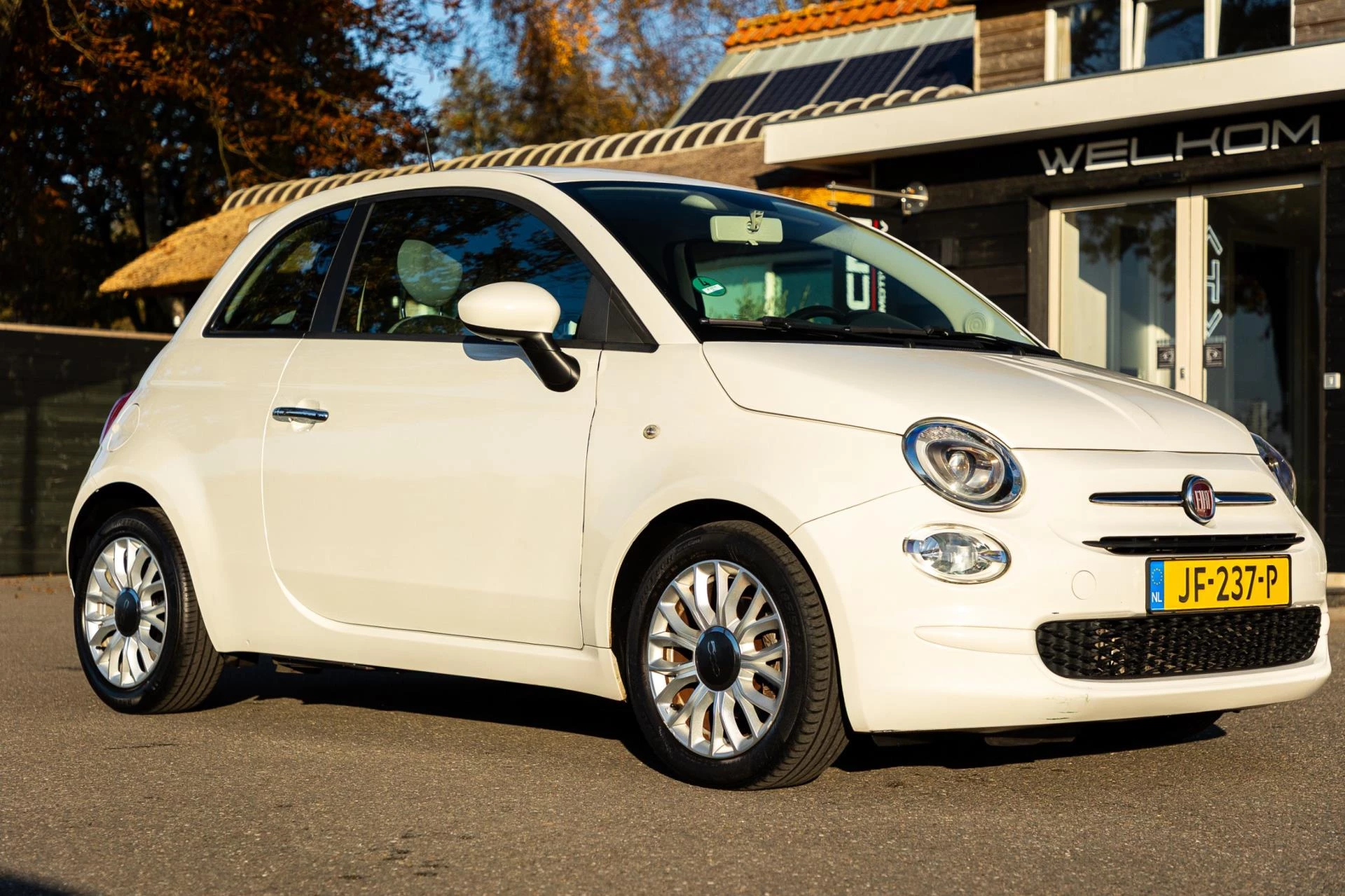 Hoofdafbeelding Fiat 500
