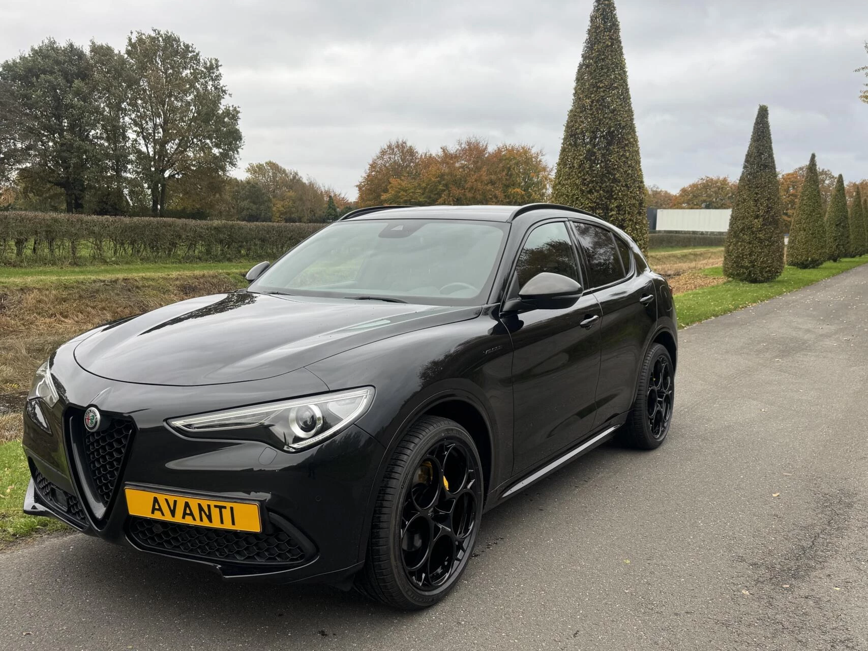 Hoofdafbeelding Alfa Romeo Stelvio