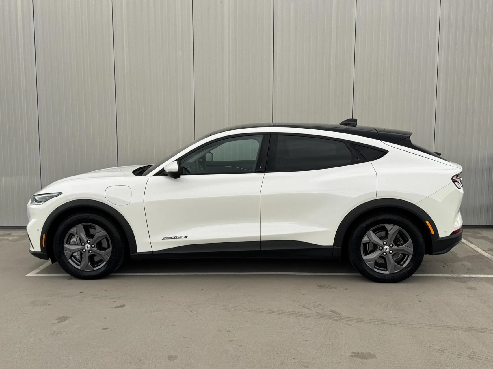 Hoofdafbeelding Ford Mustang Mach-E