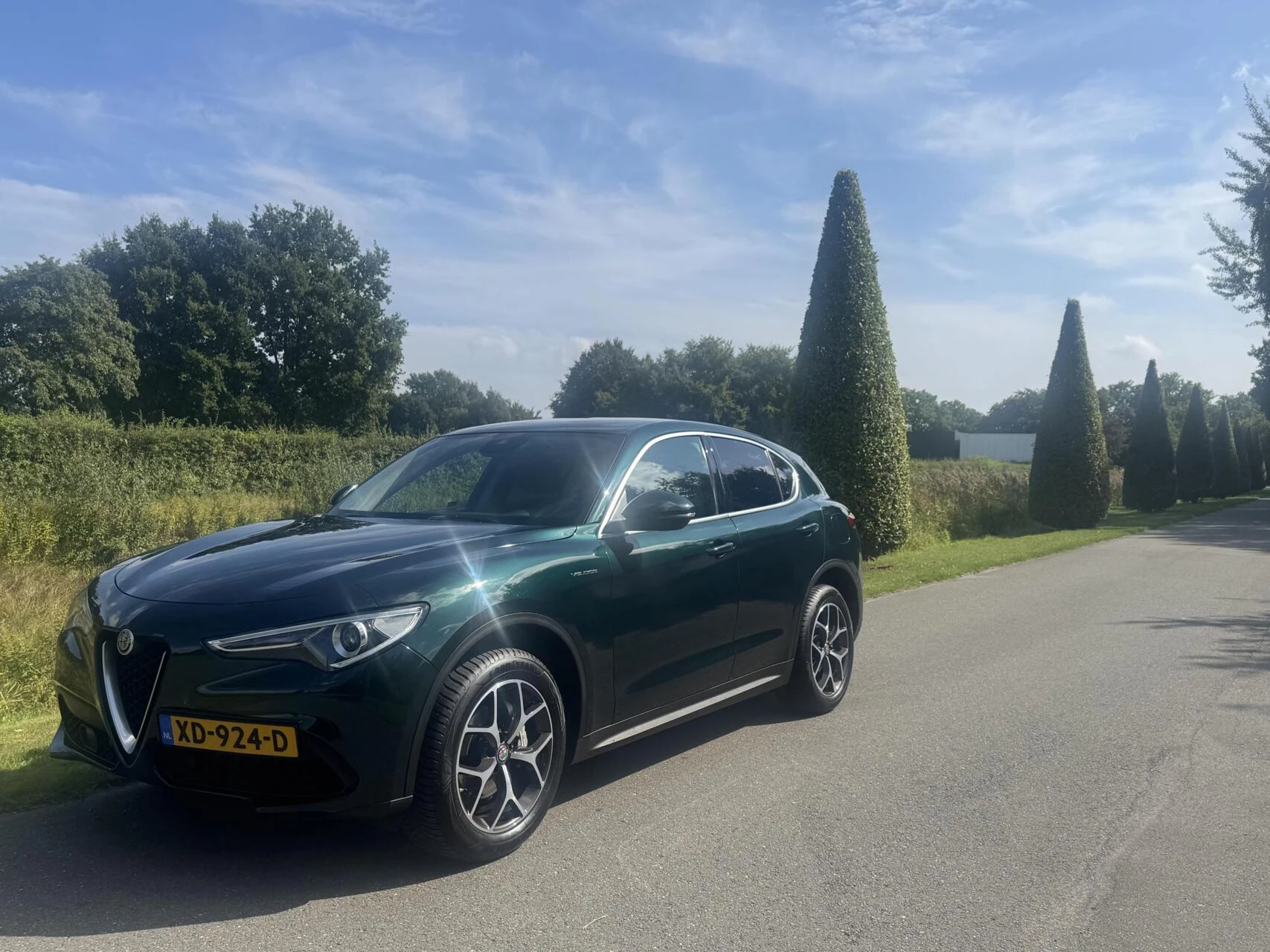 Hoofdafbeelding Alfa Romeo Stelvio