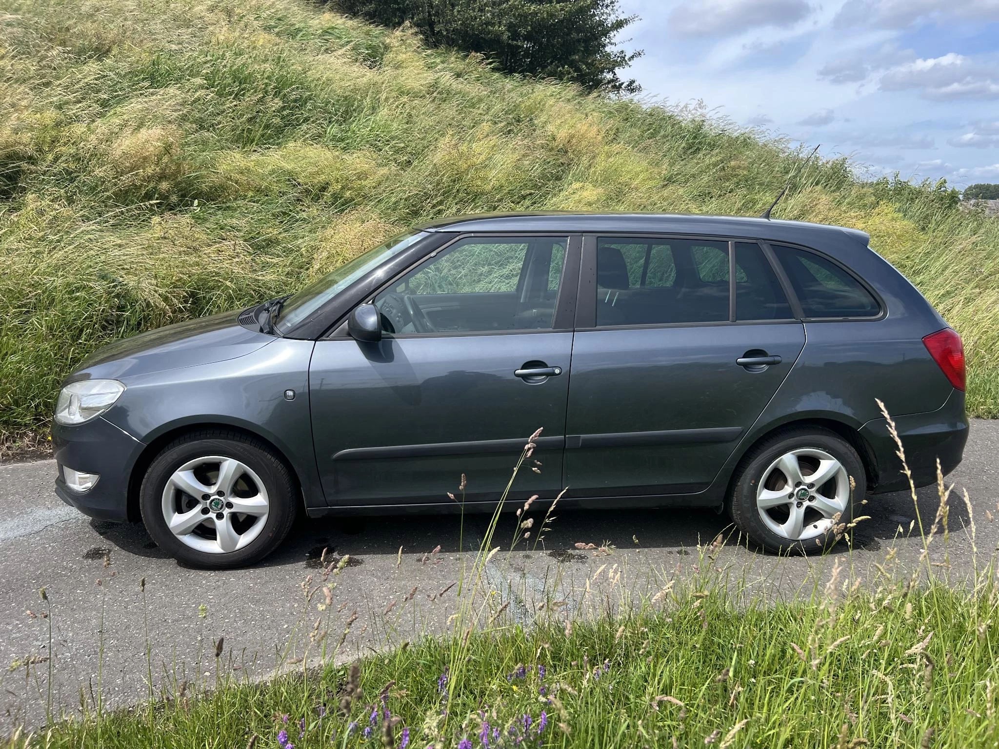 Hoofdafbeelding Škoda Fabia