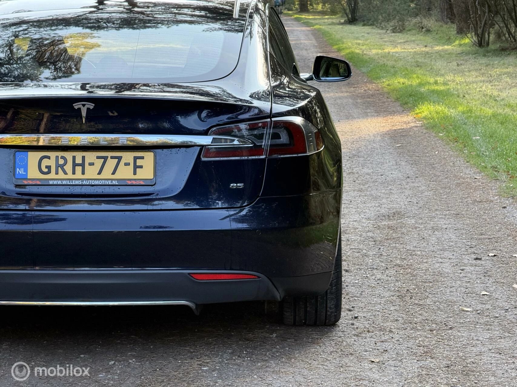 Hoofdafbeelding Tesla Model S