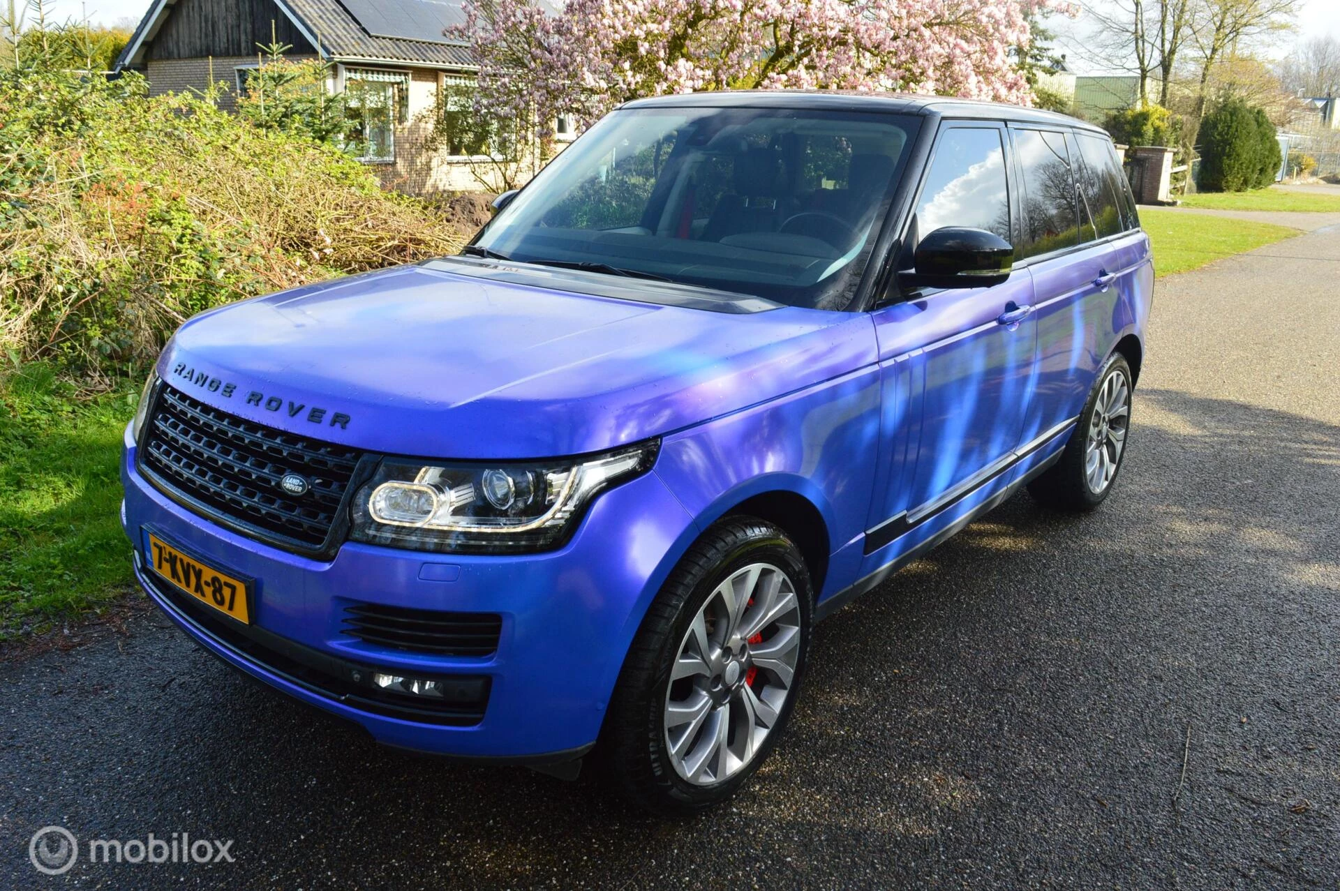 Hoofdafbeelding Land Rover Range Rover