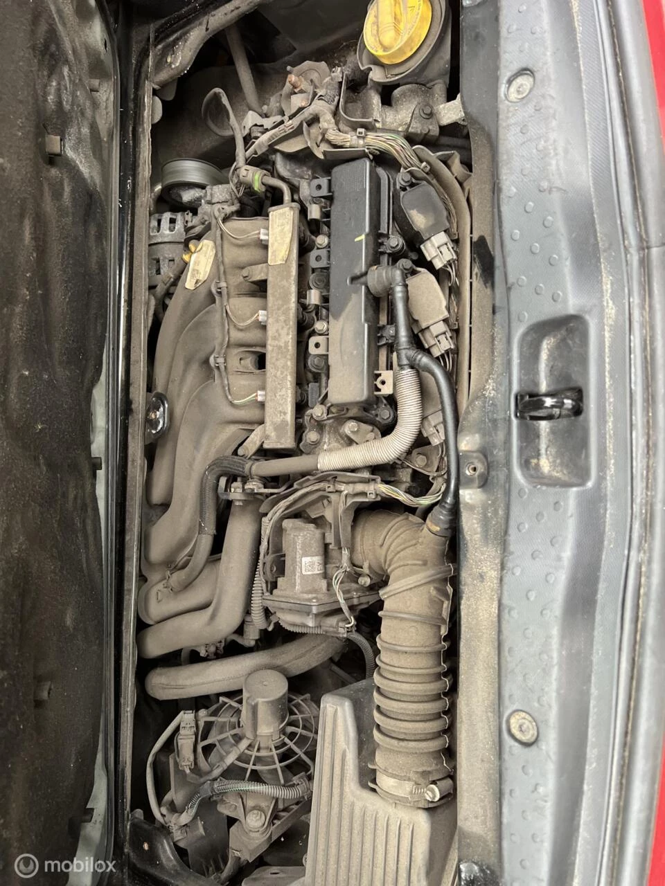 Hoofdafbeelding smart Forfour